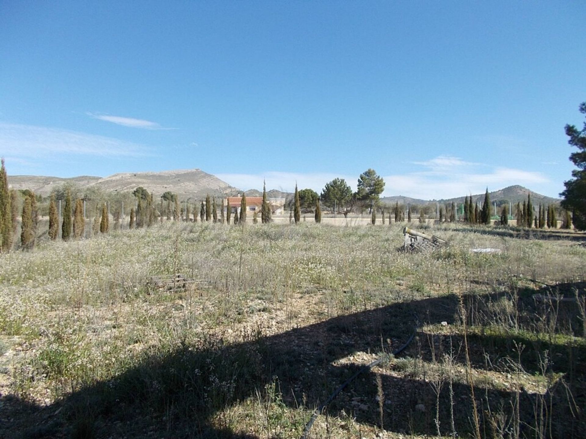 casa no Yecla, Región de Murcia 11516860