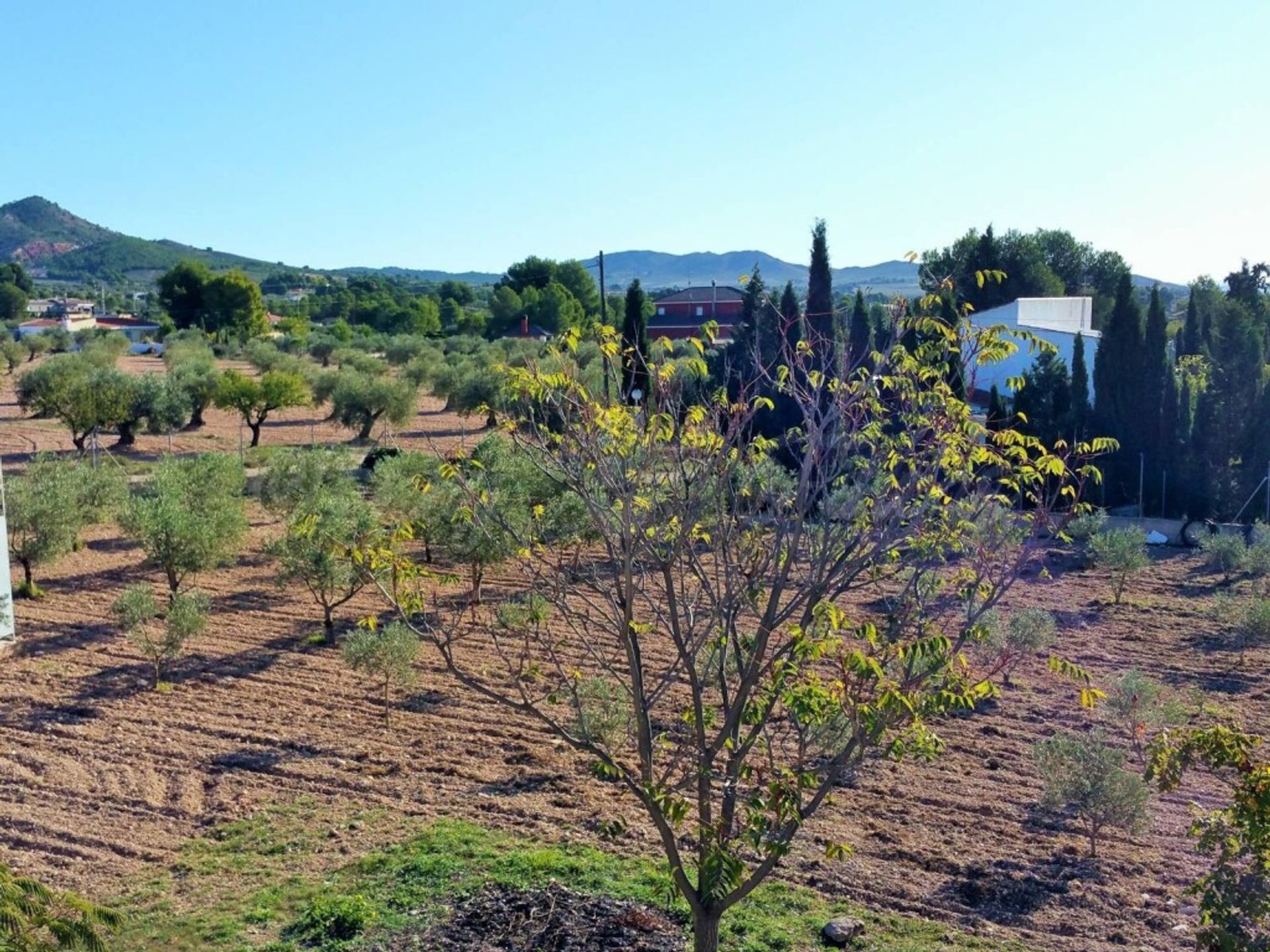 Talo sisään Yecla, Región de Murcia 11516865