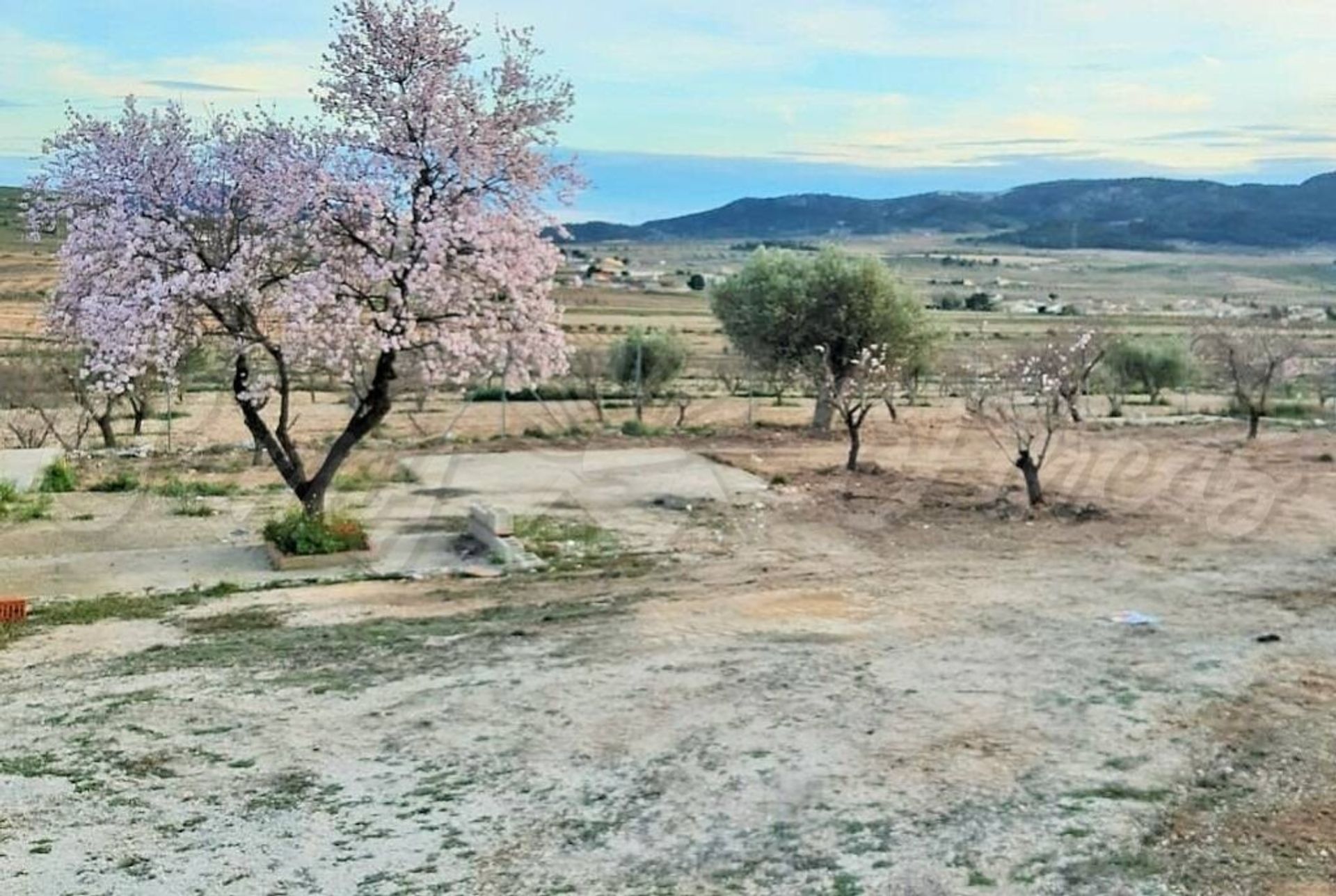 loger dans Jumilla, Región de Murcia 11516872