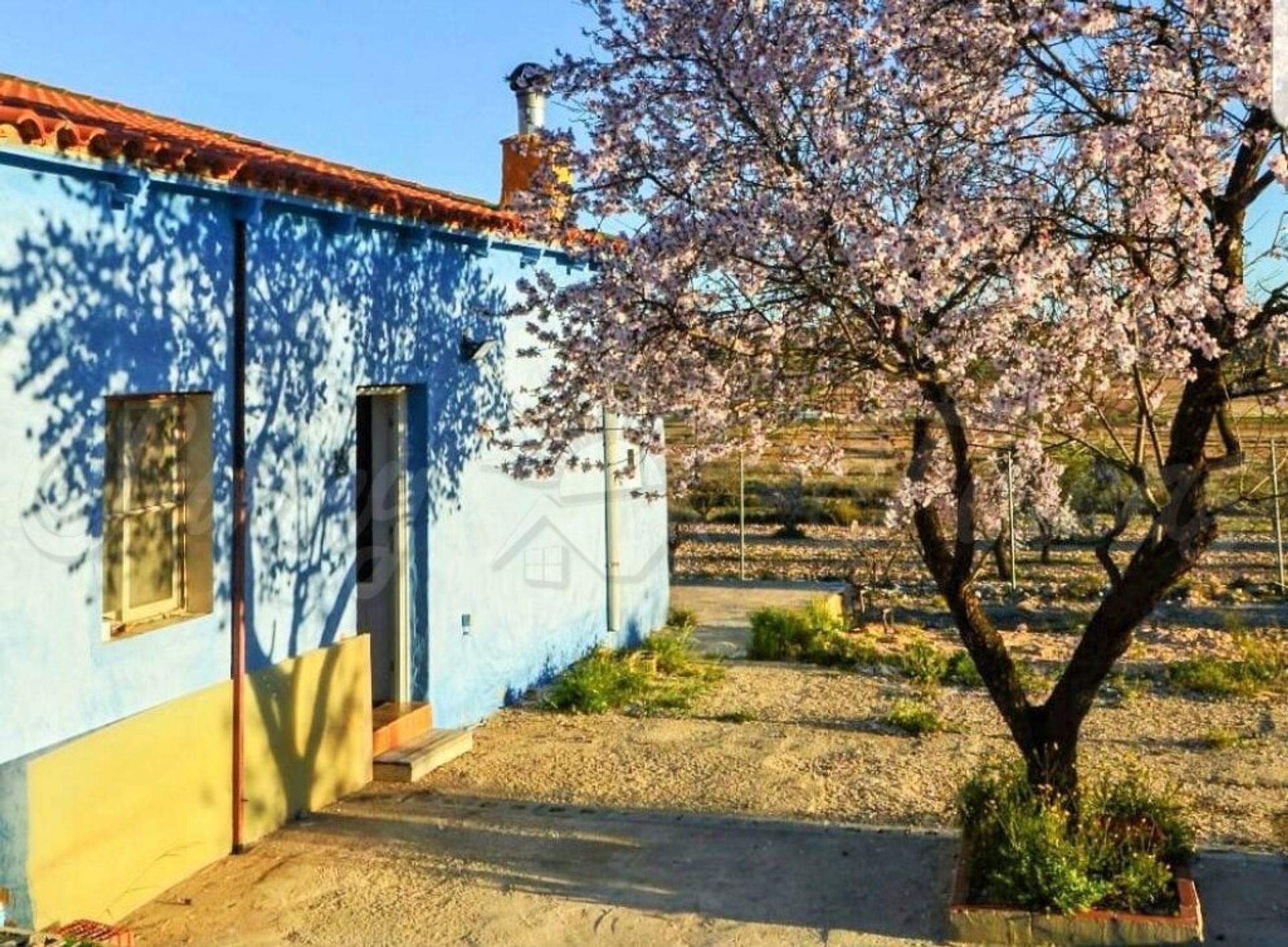 loger dans Jumilla, Región de Murcia 11516872