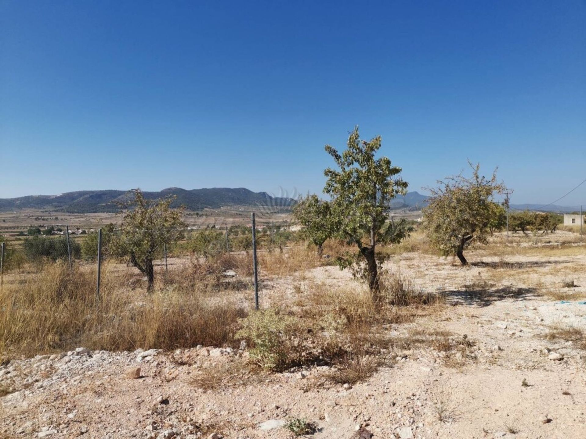 loger dans Jumilla, Región de Murcia 11516872