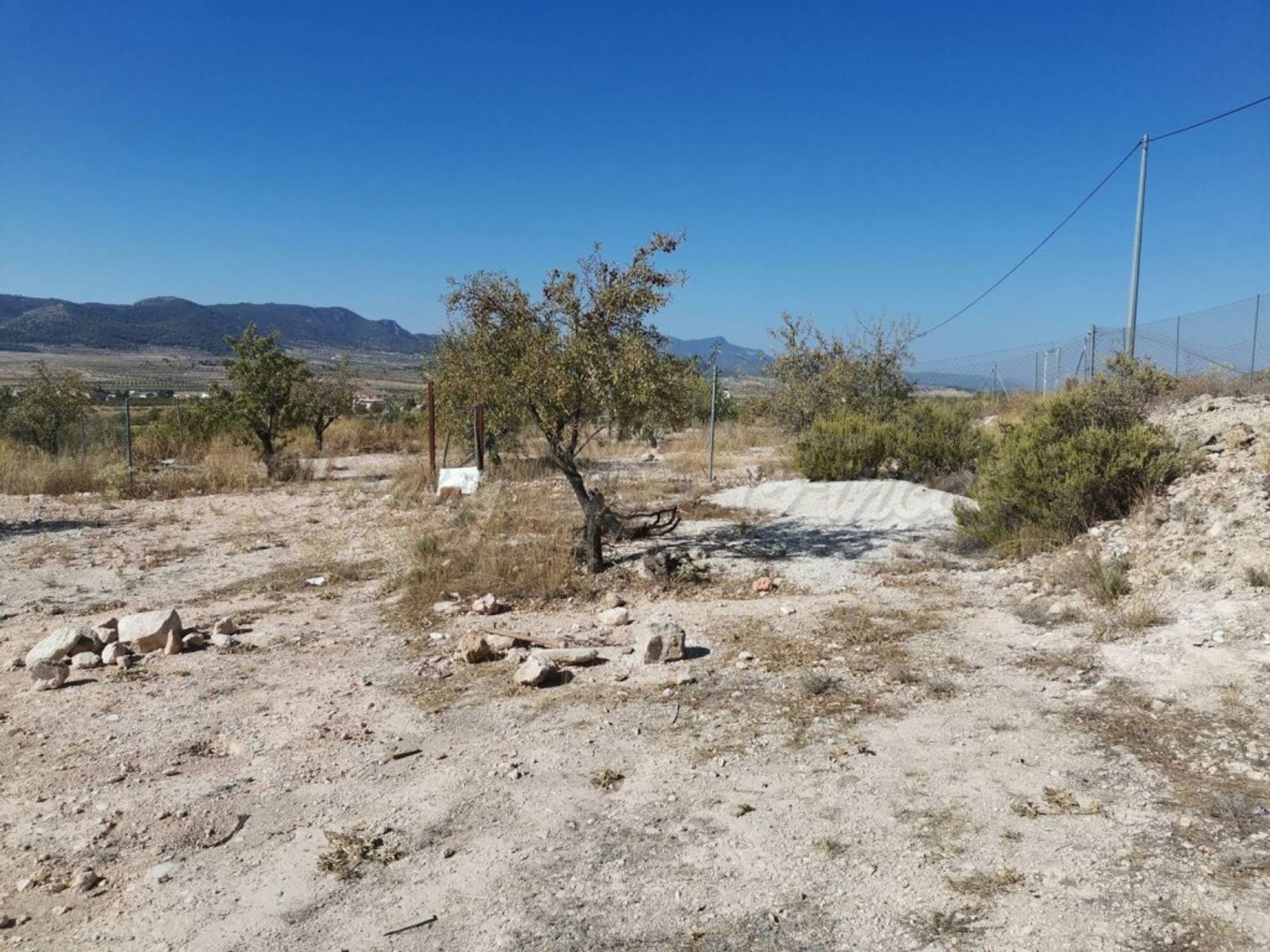 loger dans Jumilla, Región de Murcia 11516872