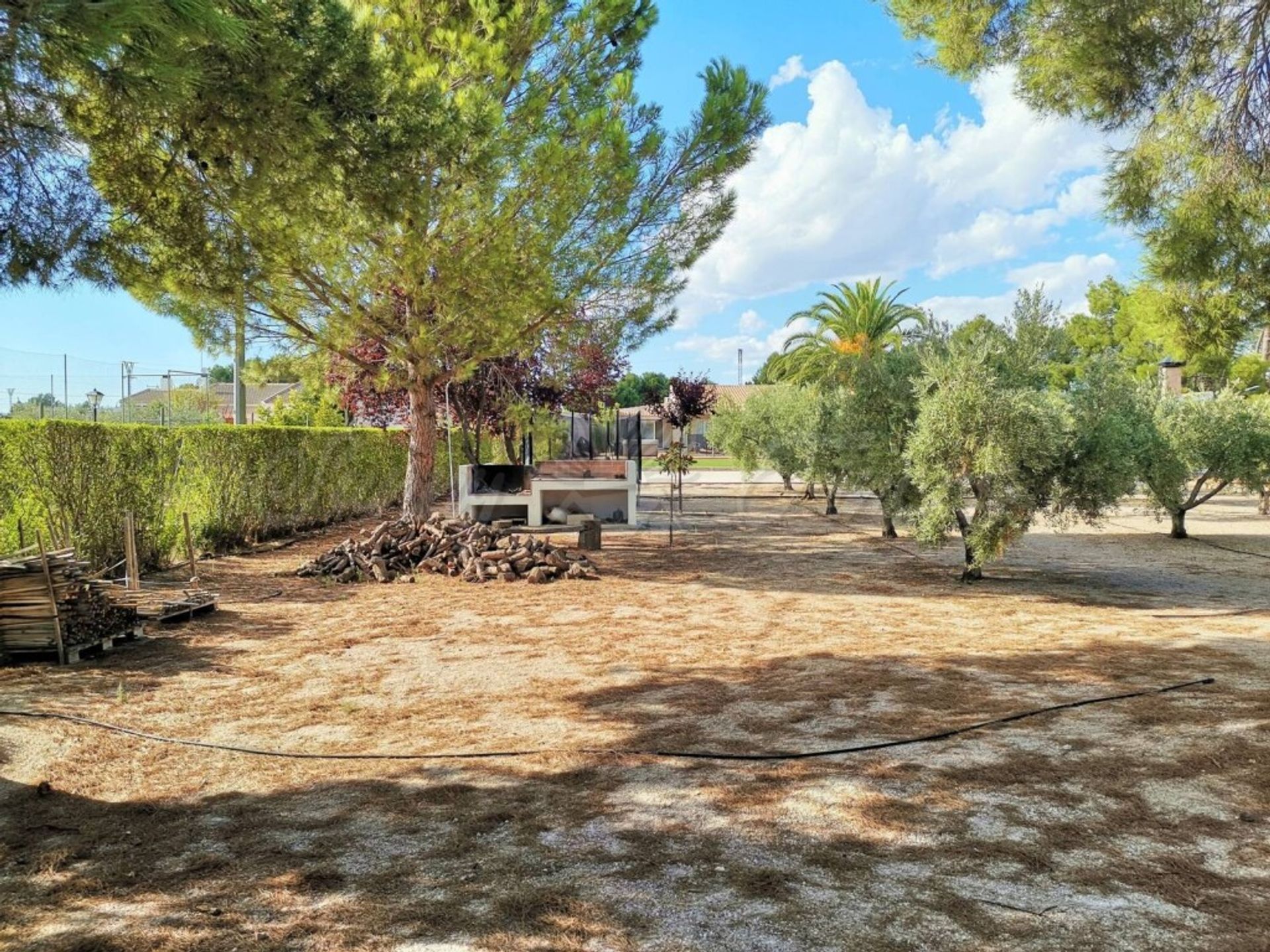 casa en Yecla, Región de Murcia 11516873