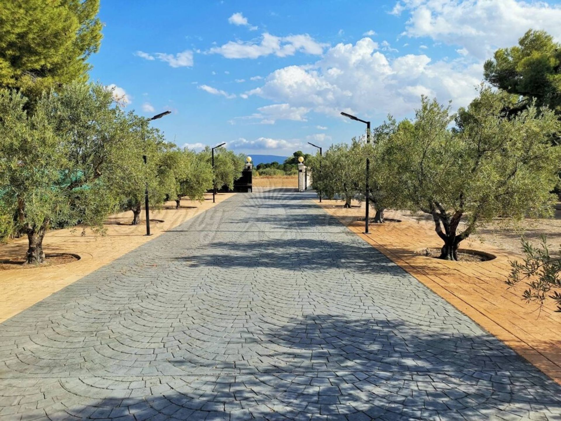 casa en Yecla, Región de Murcia 11516873