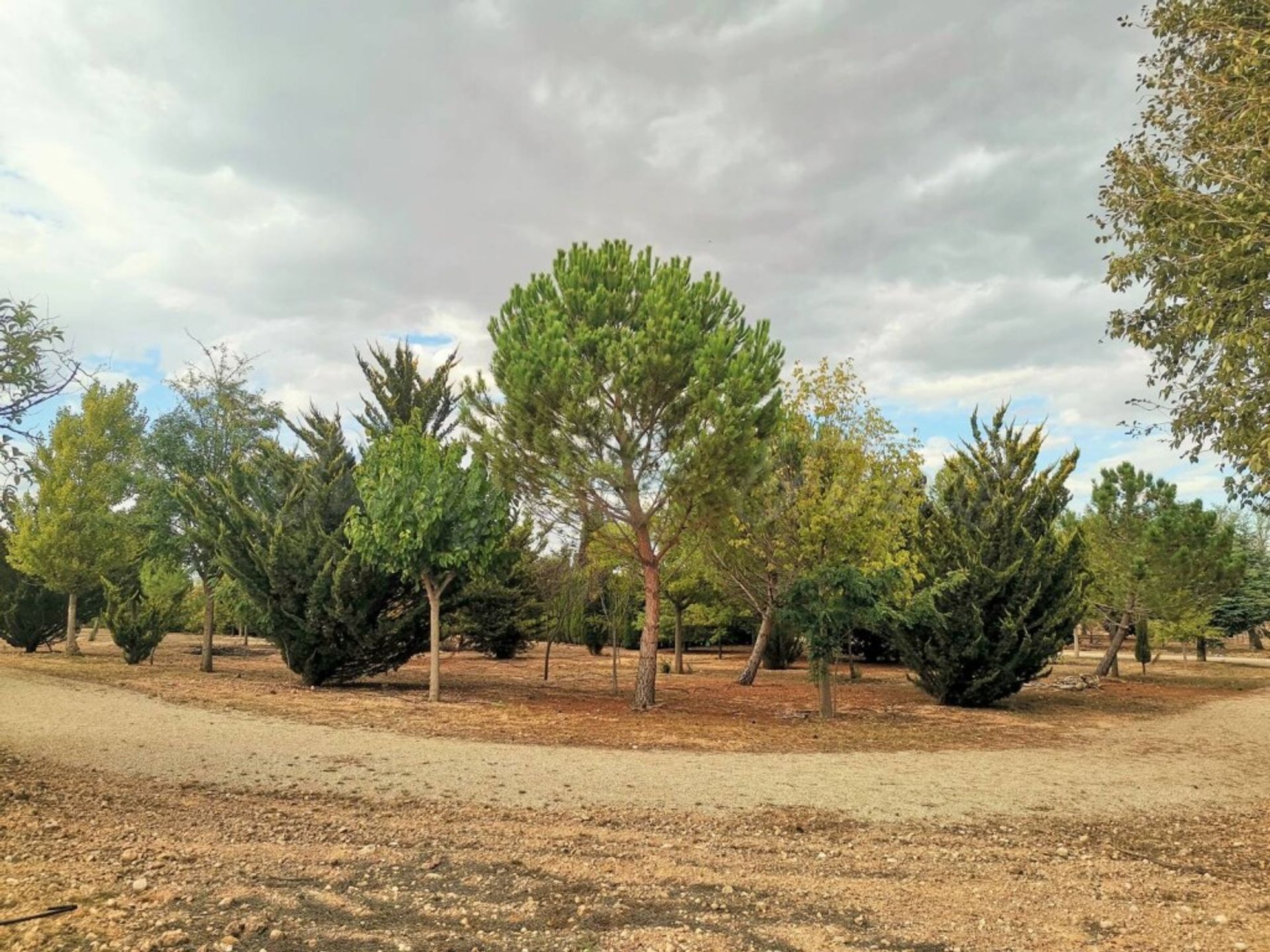 Haus im Yecla, Región de Murcia 11516875