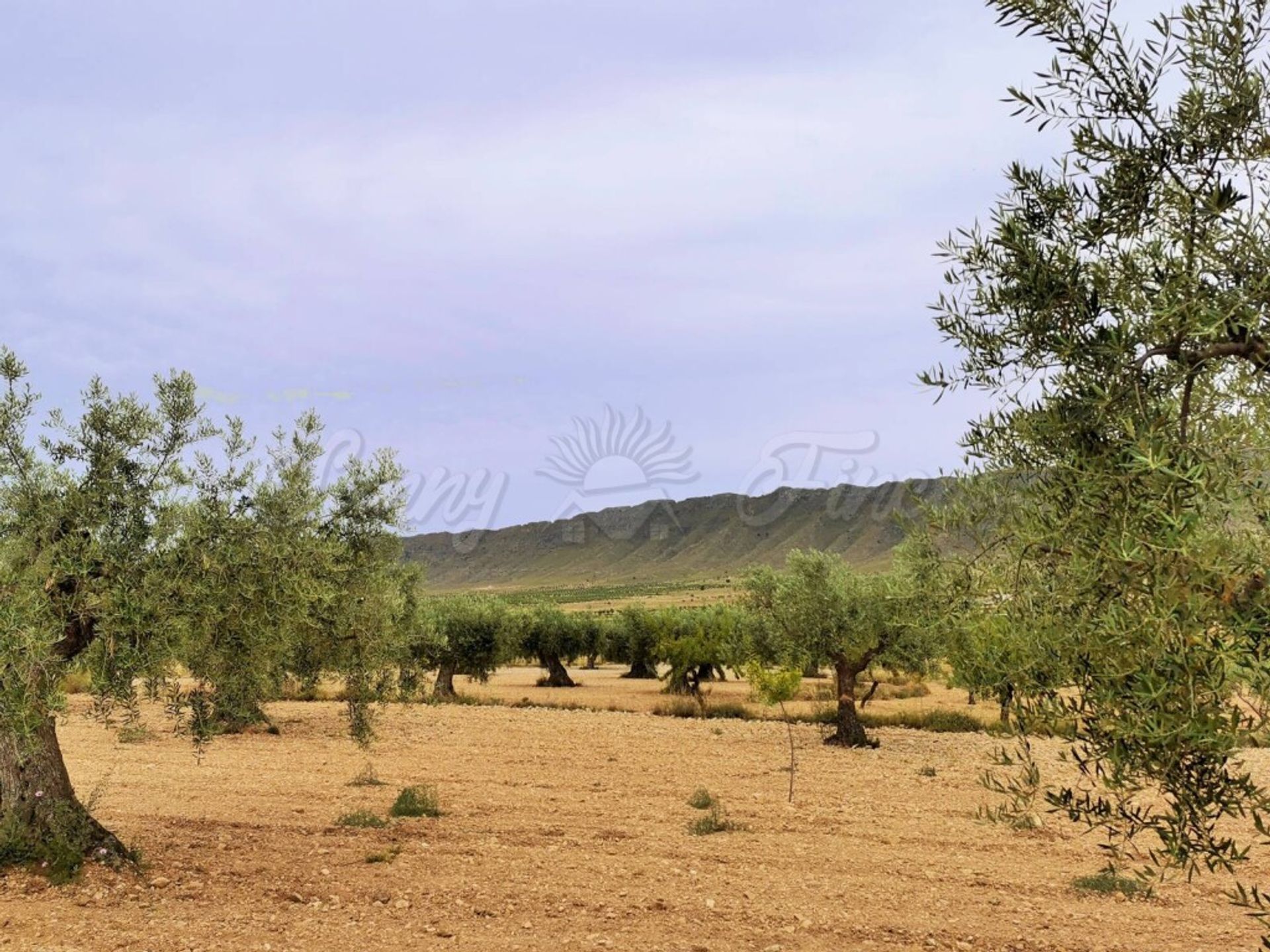 房子 在 Yecla, Región de Murcia 11516877