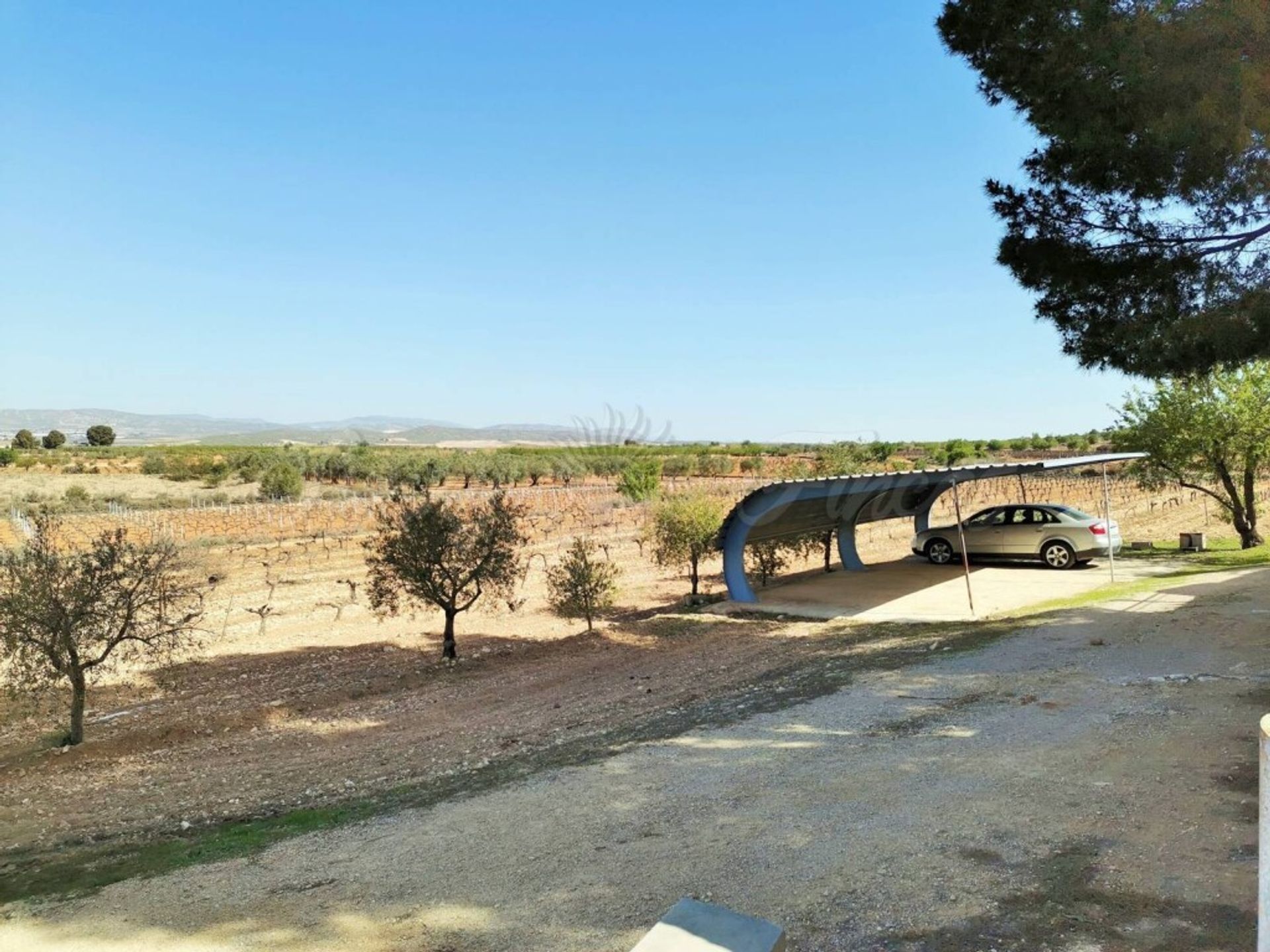 rumah dalam Yecla, Región de Murcia 11516879