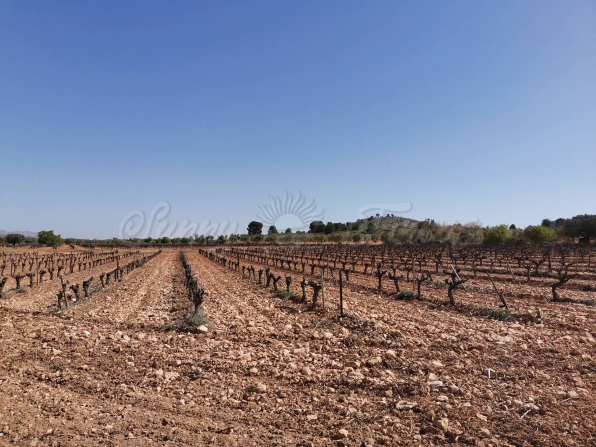 rumah dalam Yecla, Región de Murcia 11516879