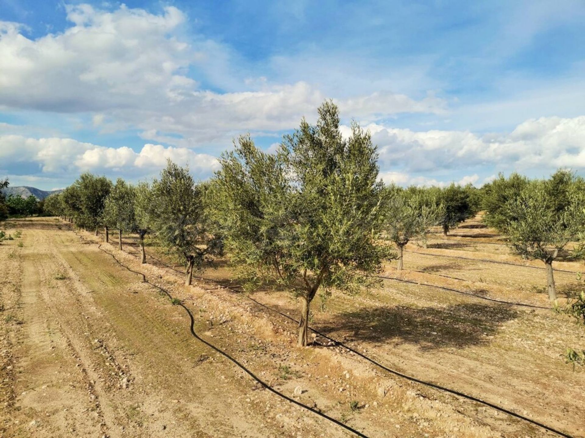 casa en Villena, Comunidad Valenciana 11516880