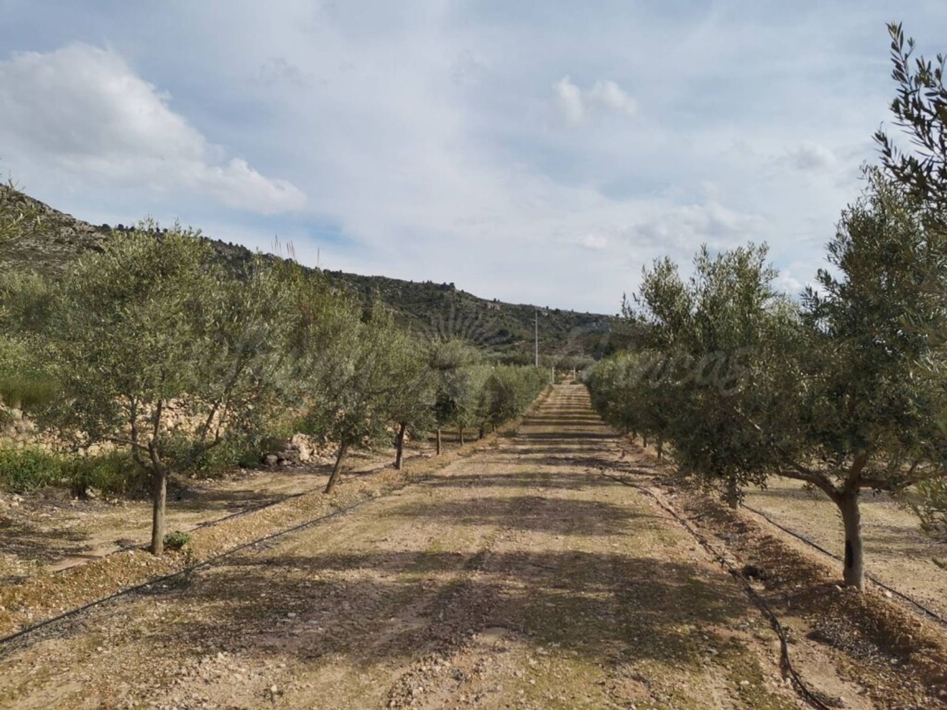 casa en Villena, Comunidad Valenciana 11516880