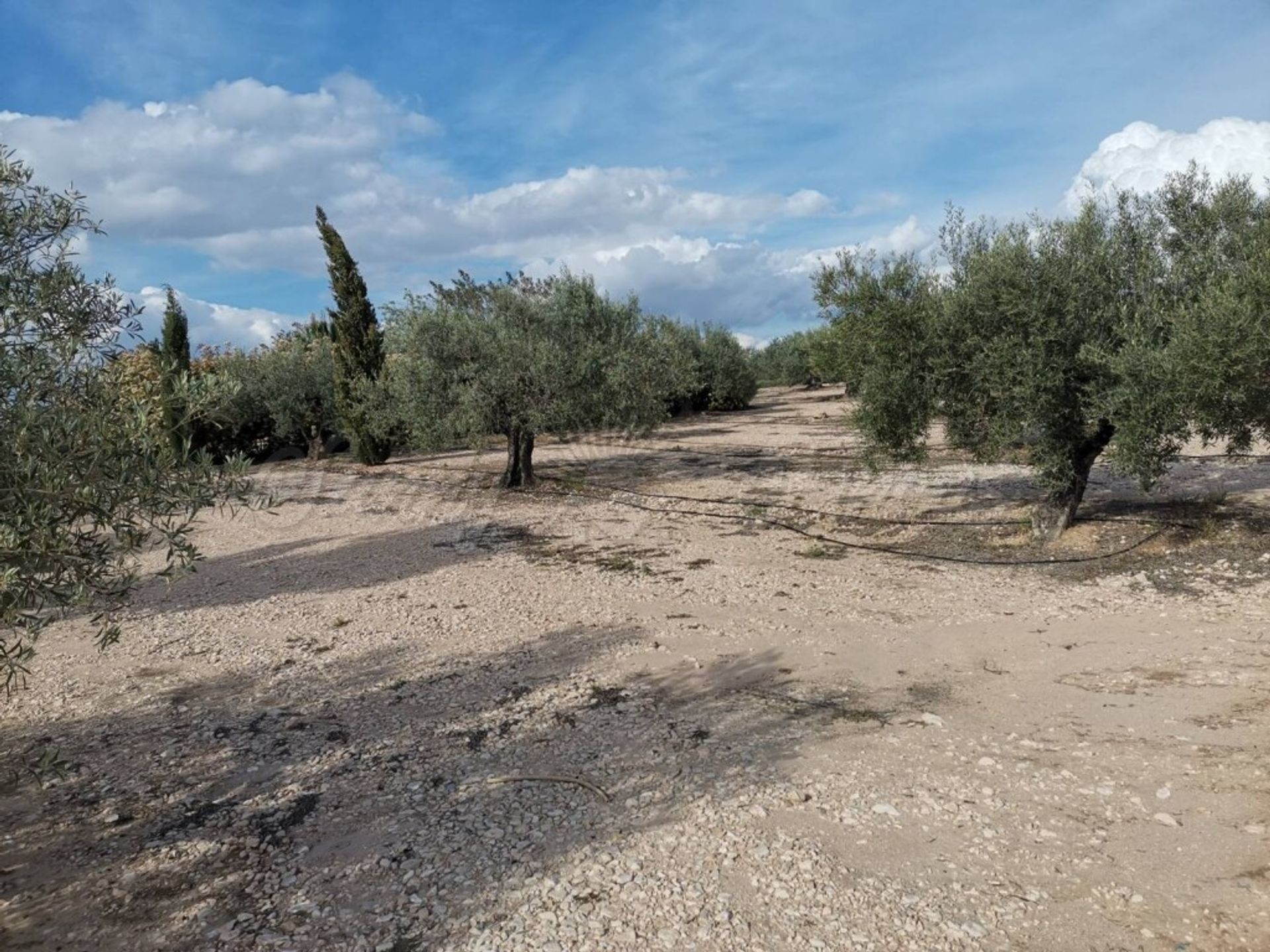 casa en Villena, Comunidad Valenciana 11516880