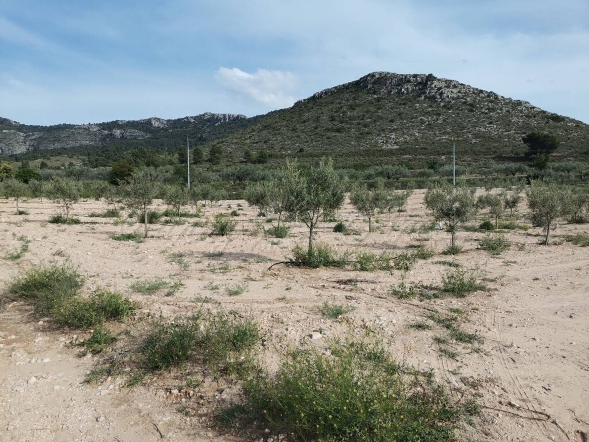 casa en Villena, Comunidad Valenciana 11516880