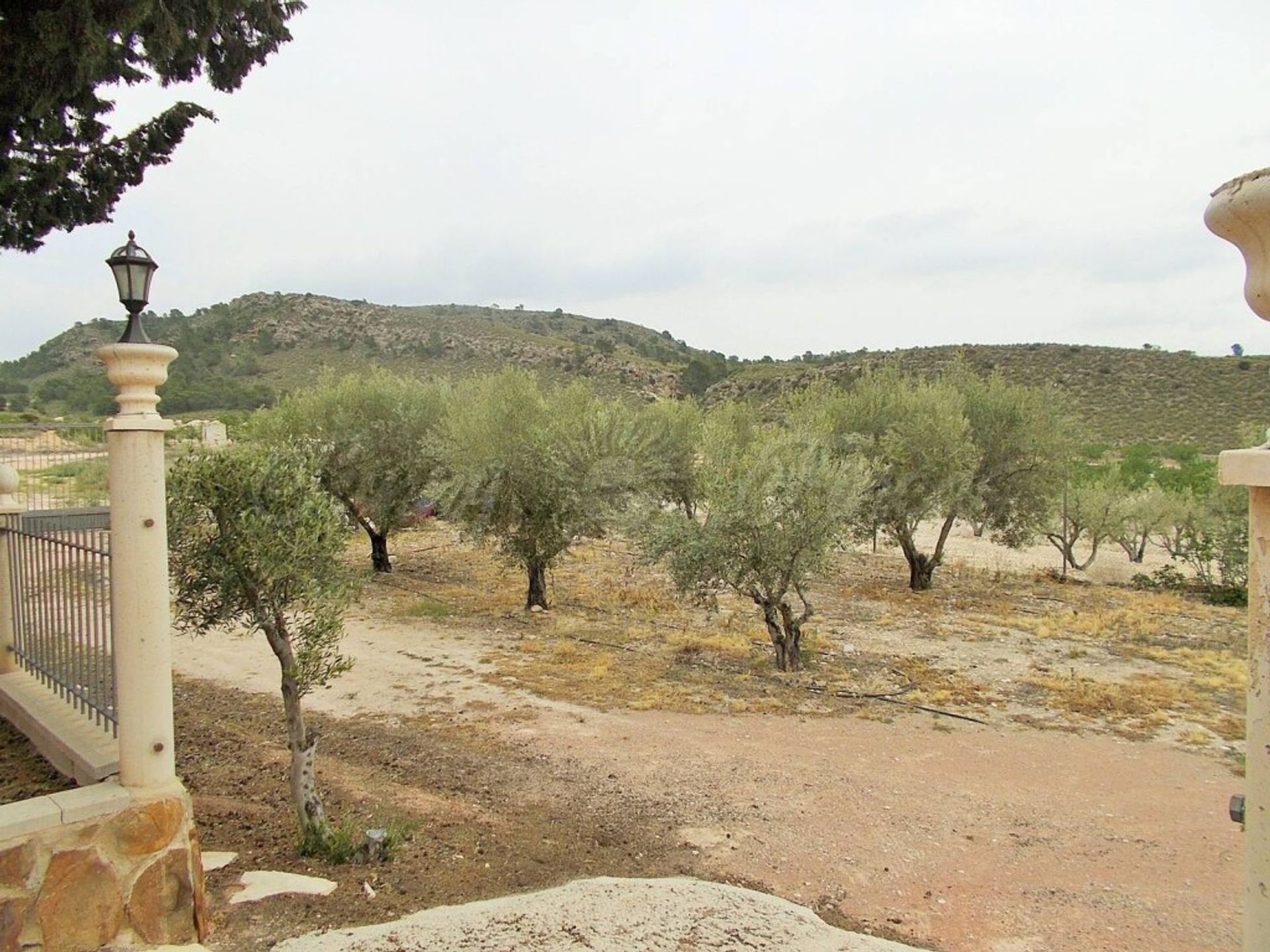 Casa nel Jumilla, Región de Murcia 11516882