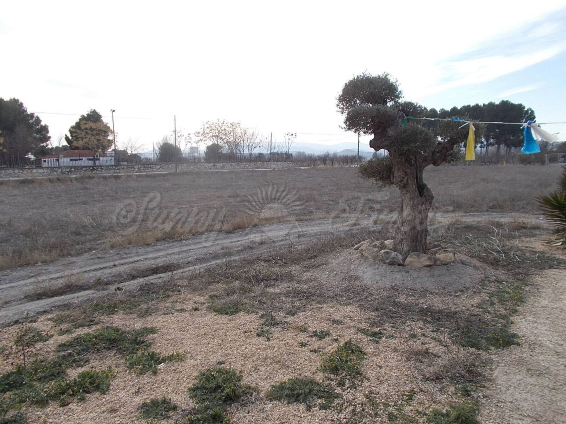 жилой дом в Villena, Comunidad Valenciana 11516883