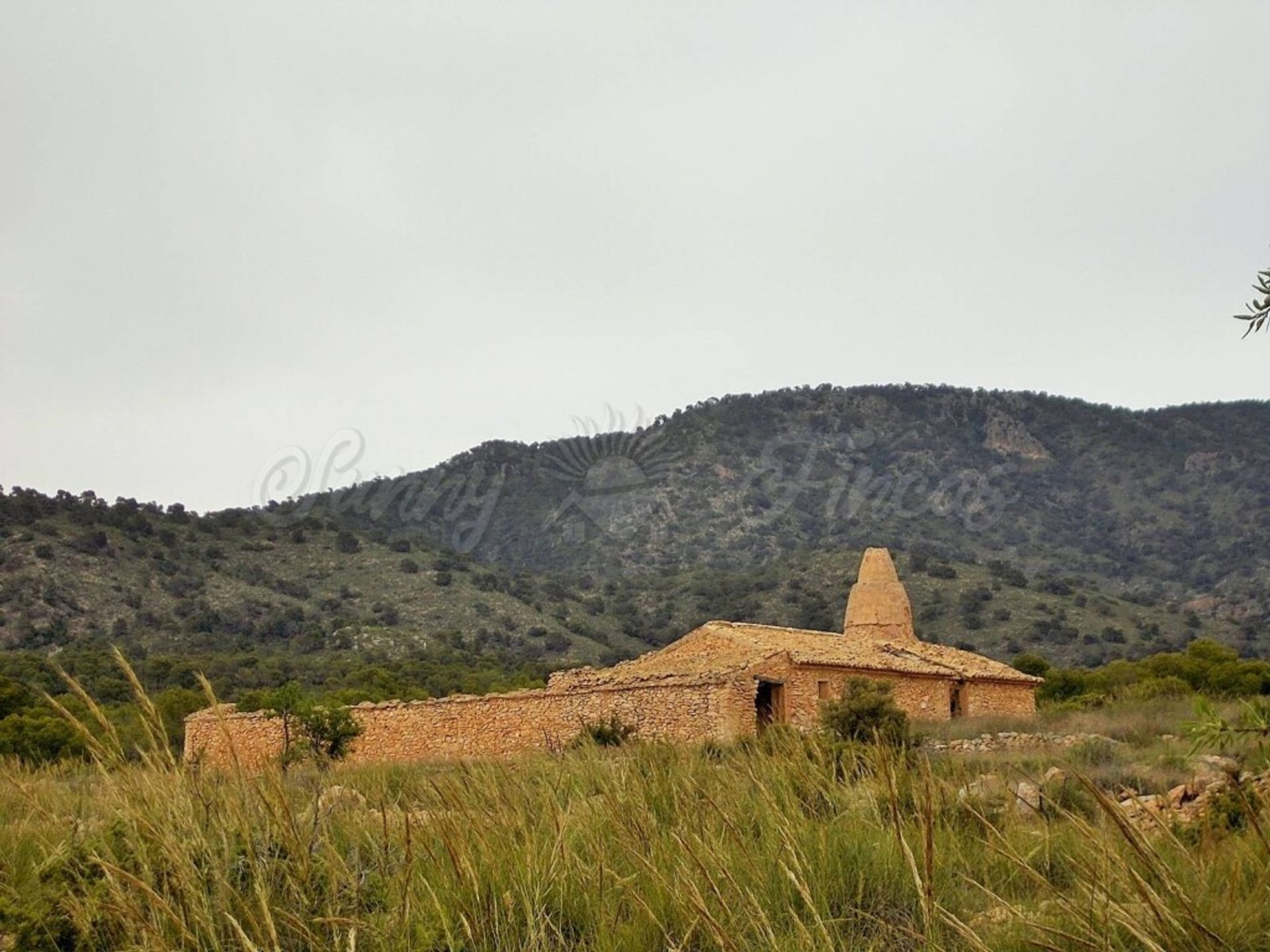 casa no Pinoso, Valência 11516884