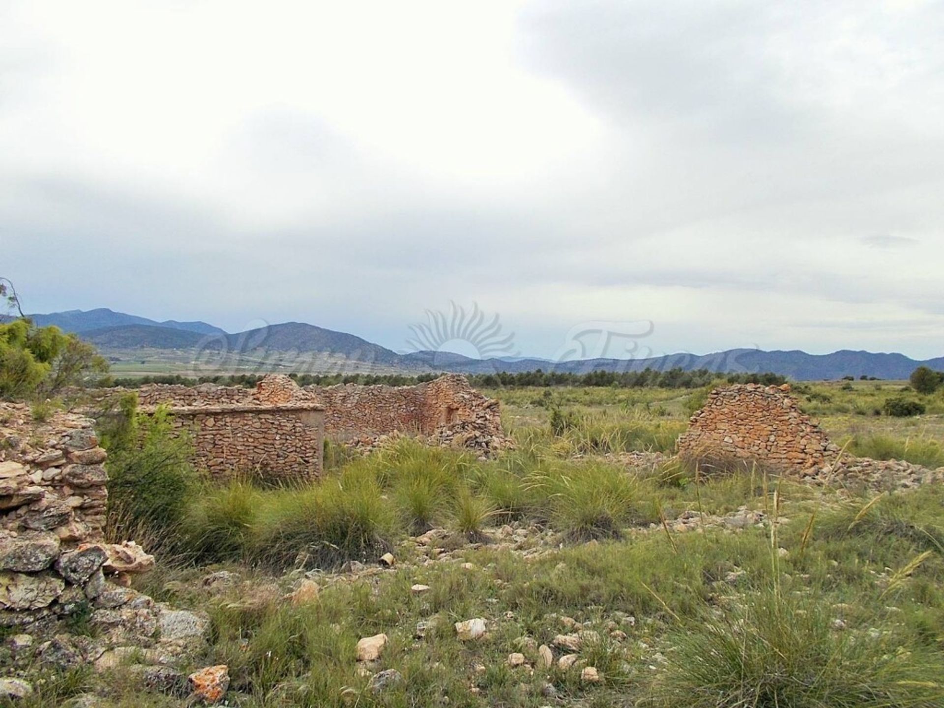 casa no El Pinós, Comunidad Valenciana 11516884