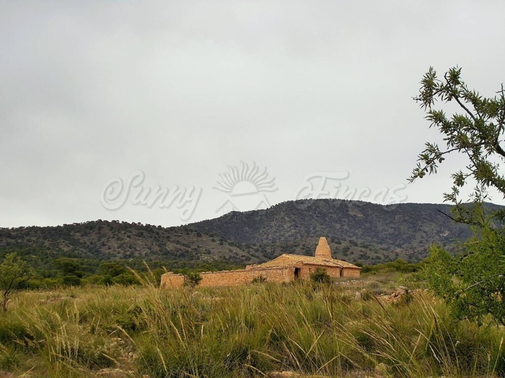 Dom w El Pinós, Comunidad Valenciana 11516884