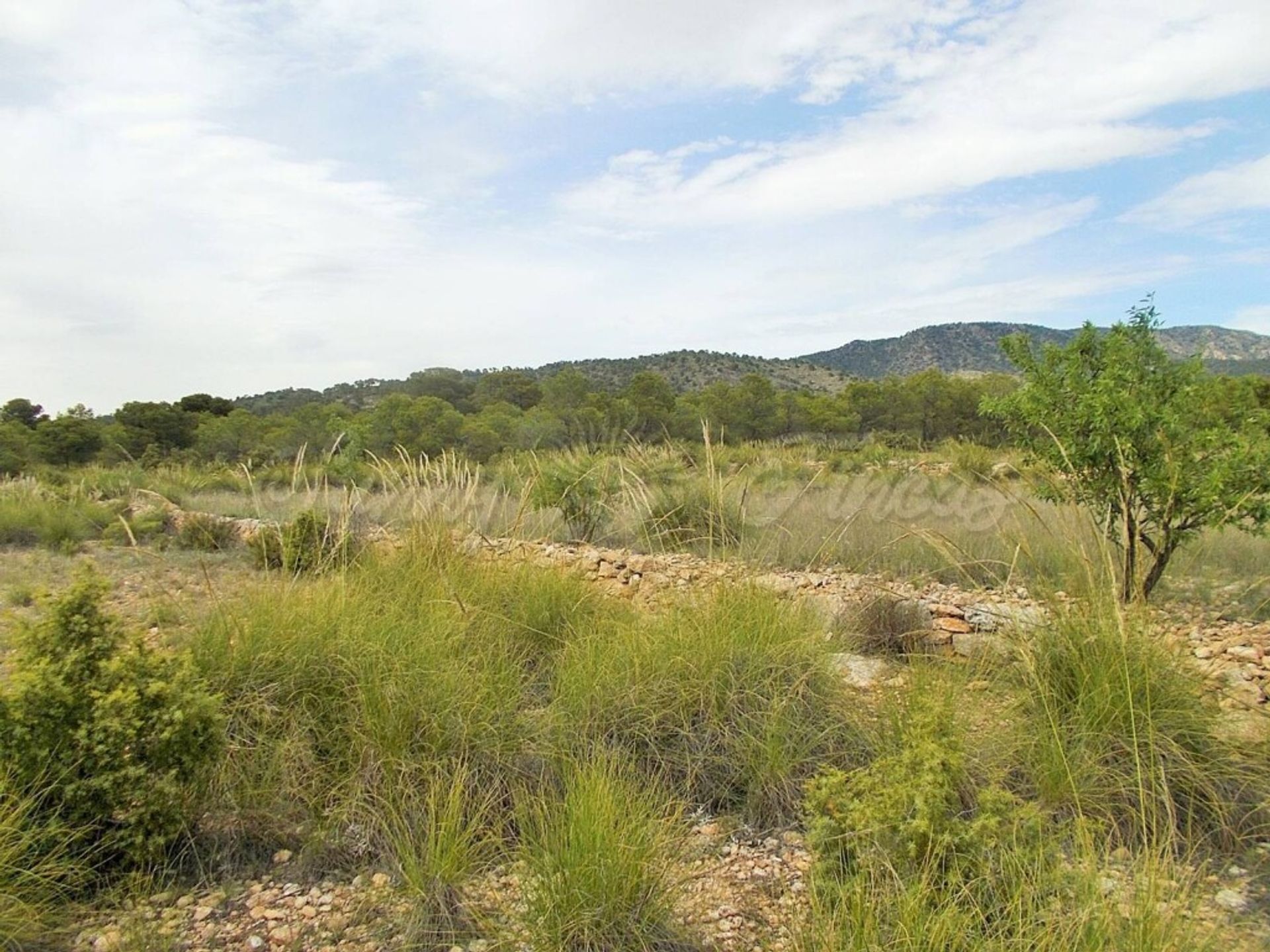 loger dans El Pinós, Comunidad Valenciana 11516884