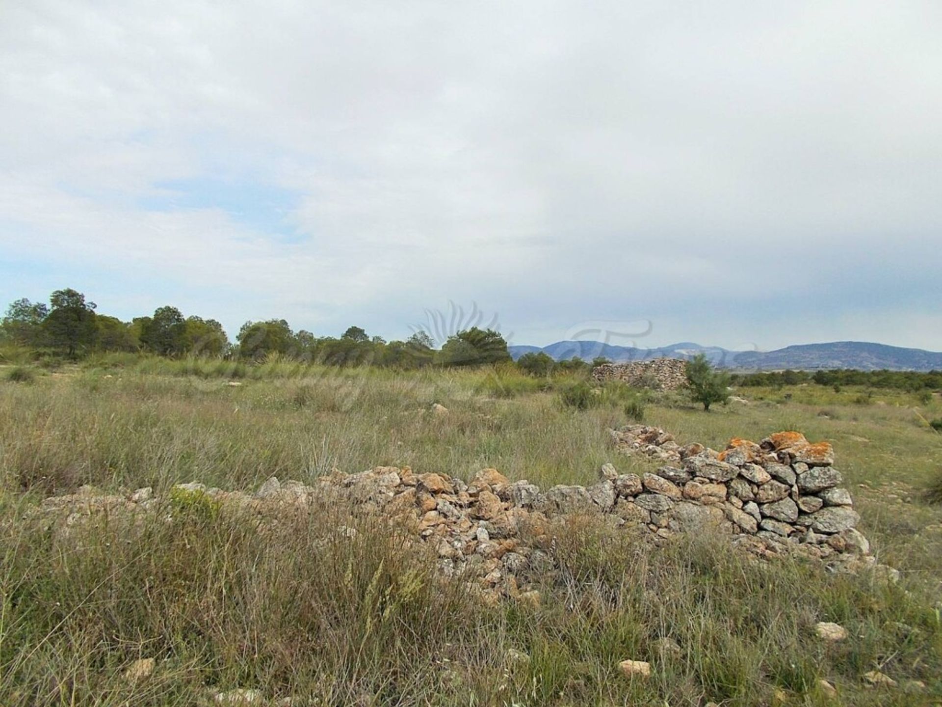 loger dans El Pinós, Comunidad Valenciana 11516884