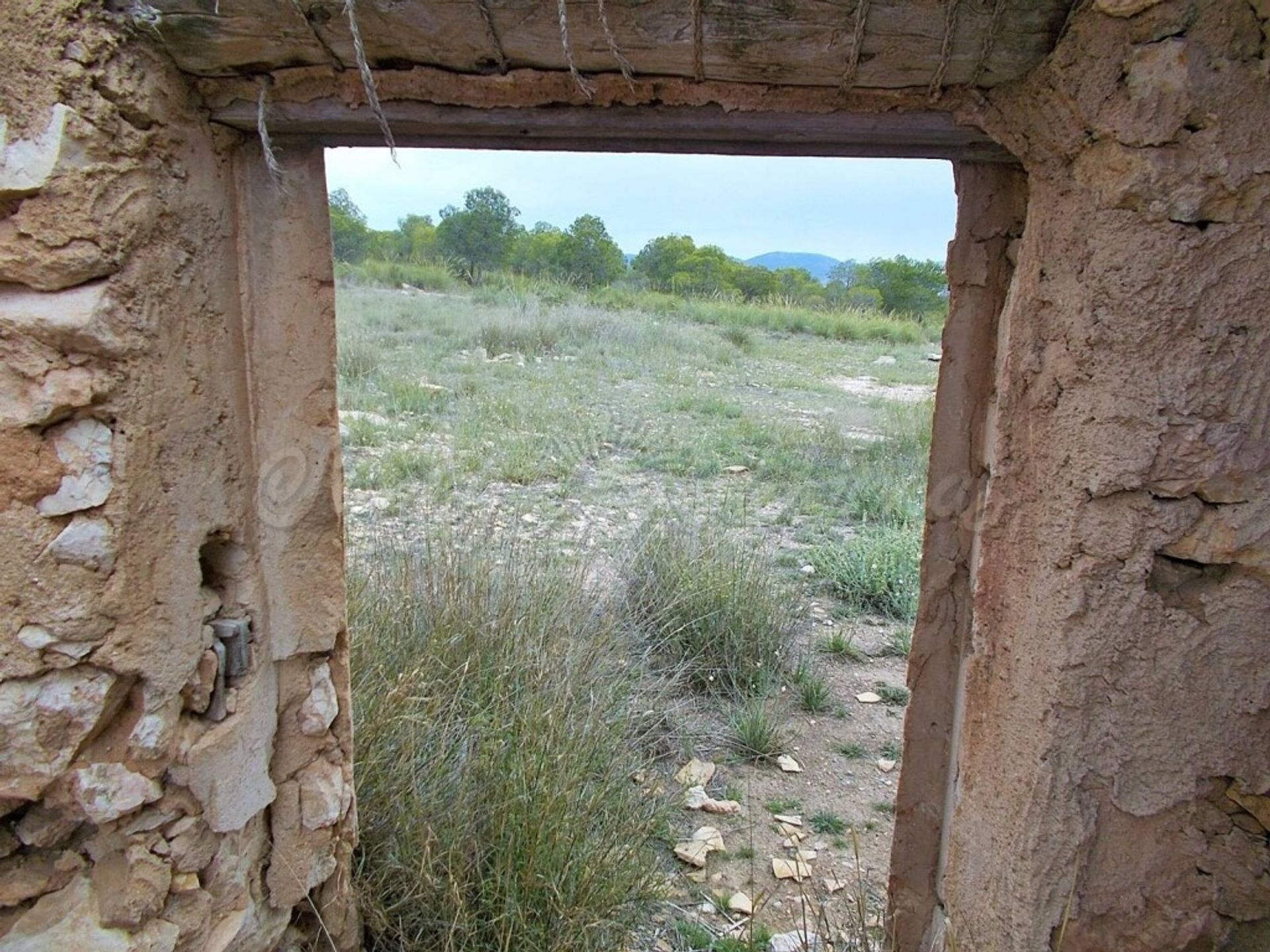 Hus i El Pinós, Comunidad Valenciana 11516884