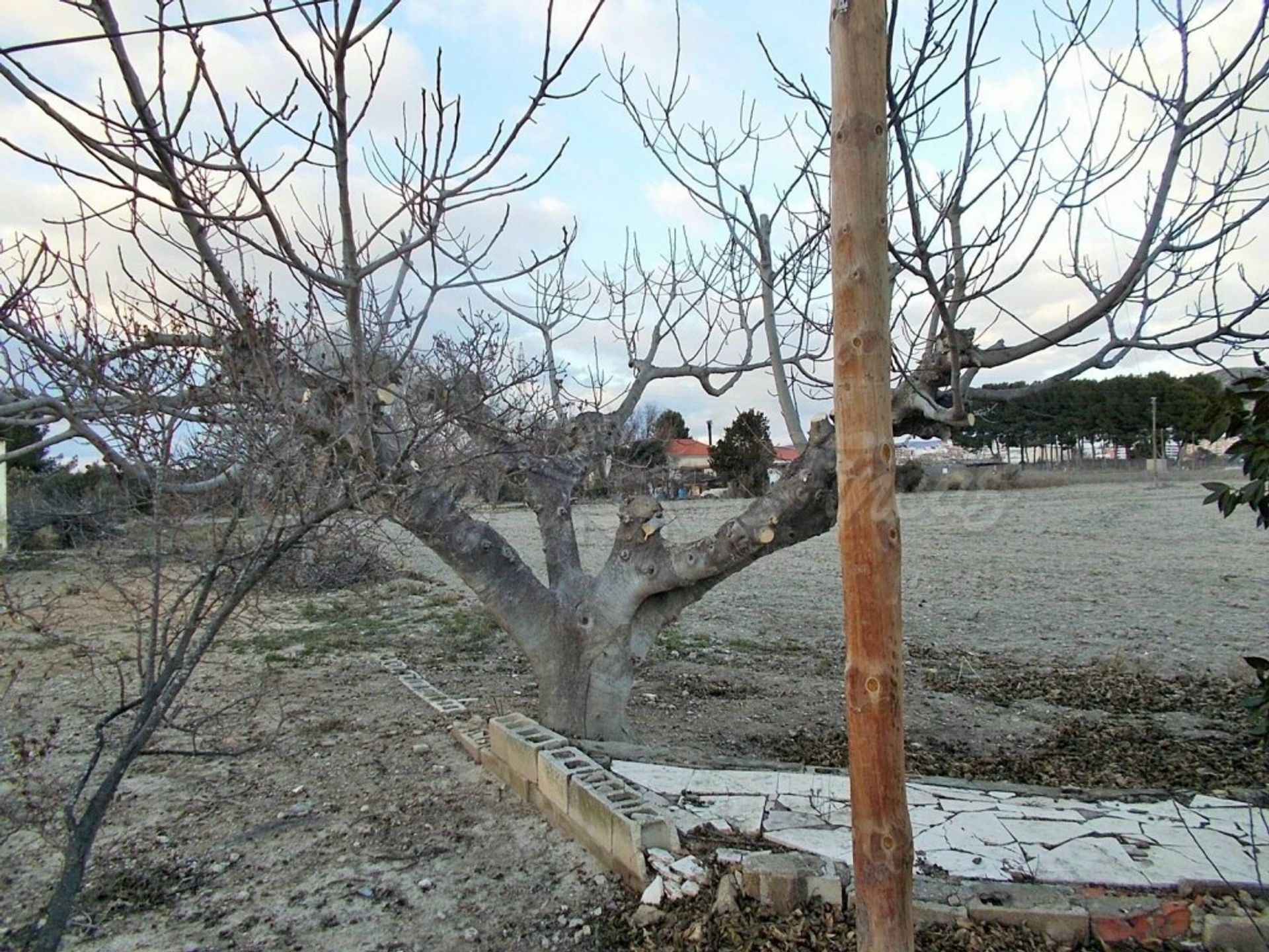 Rumah di Villena, Comunidad Valenciana 11516885