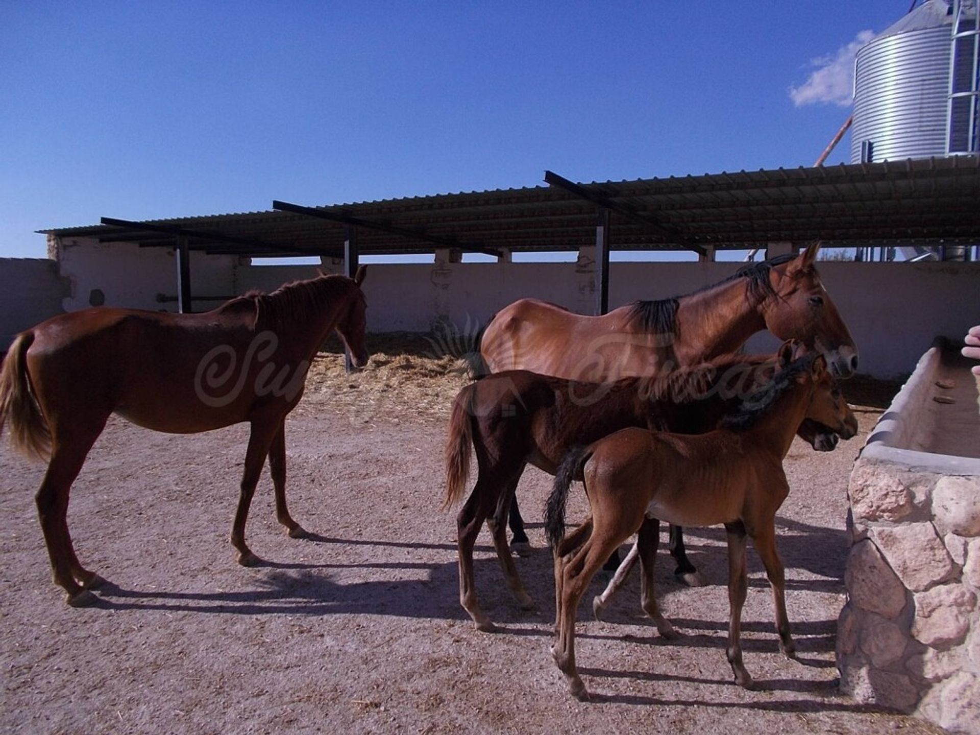 Будинок в Yecla, Región de Murcia 11516887