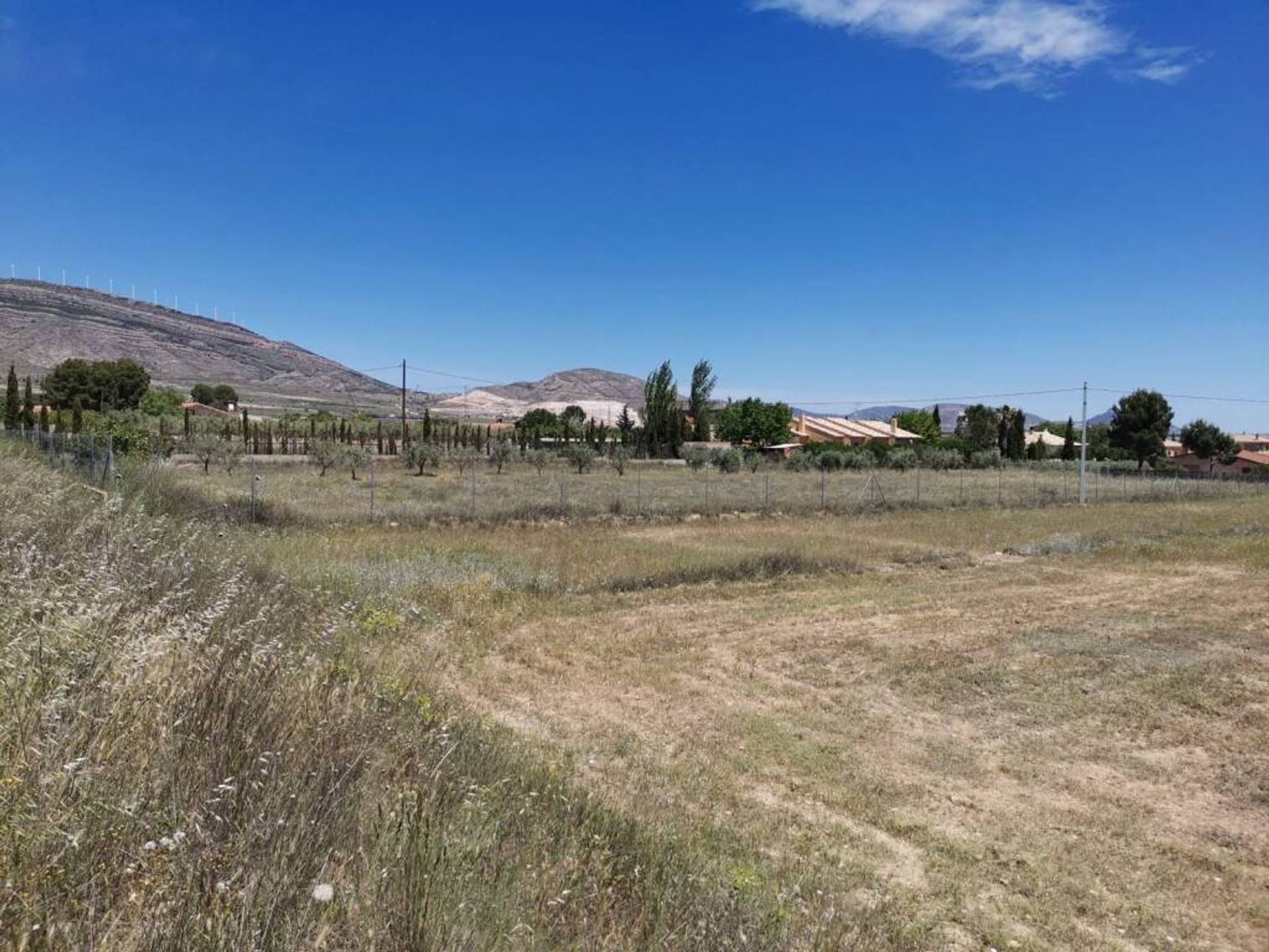 Land i Caudete, Castille-La Mancha 11516891