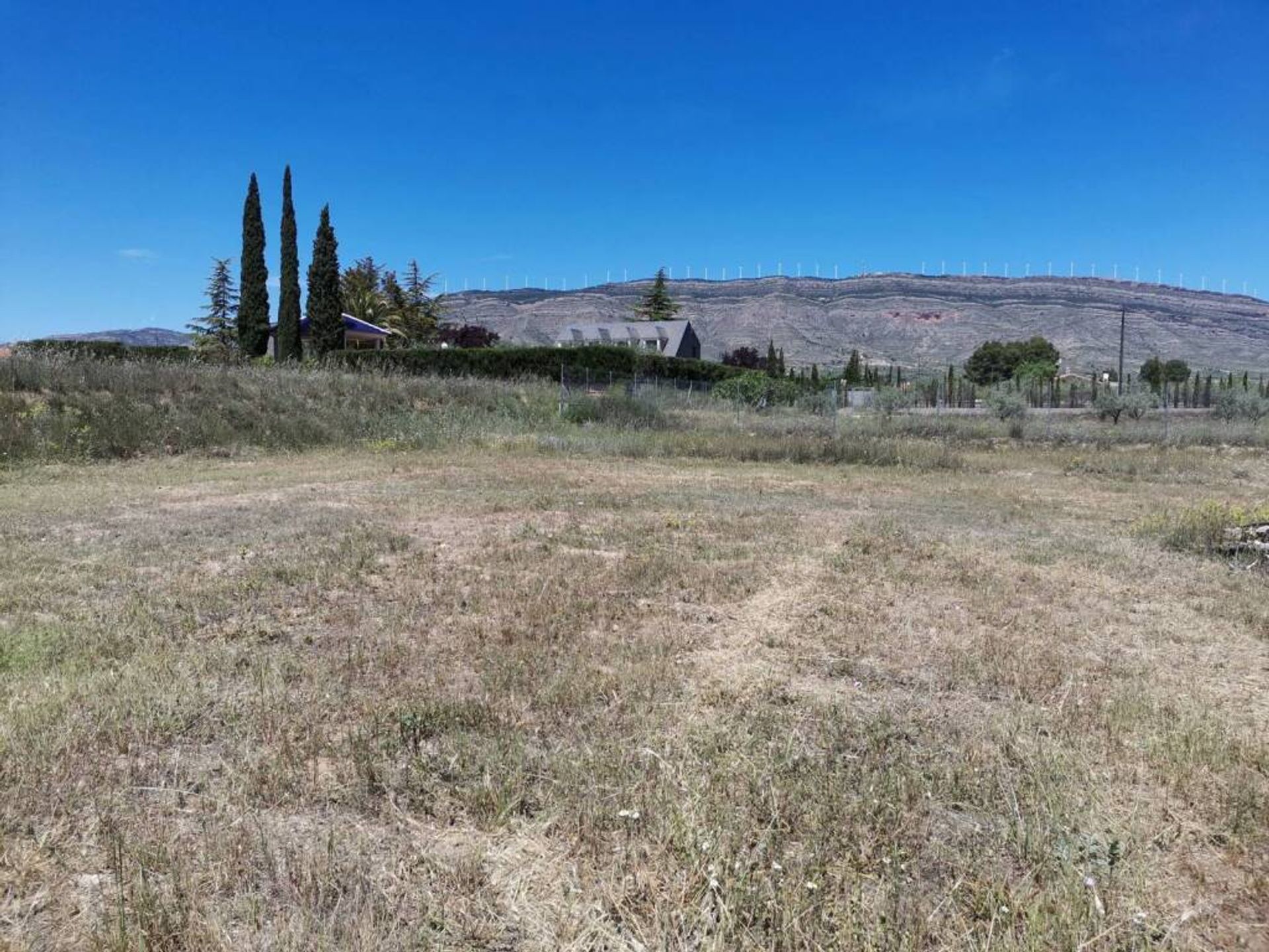 Terre dans Caudéte, Castille-La Manche 11516891