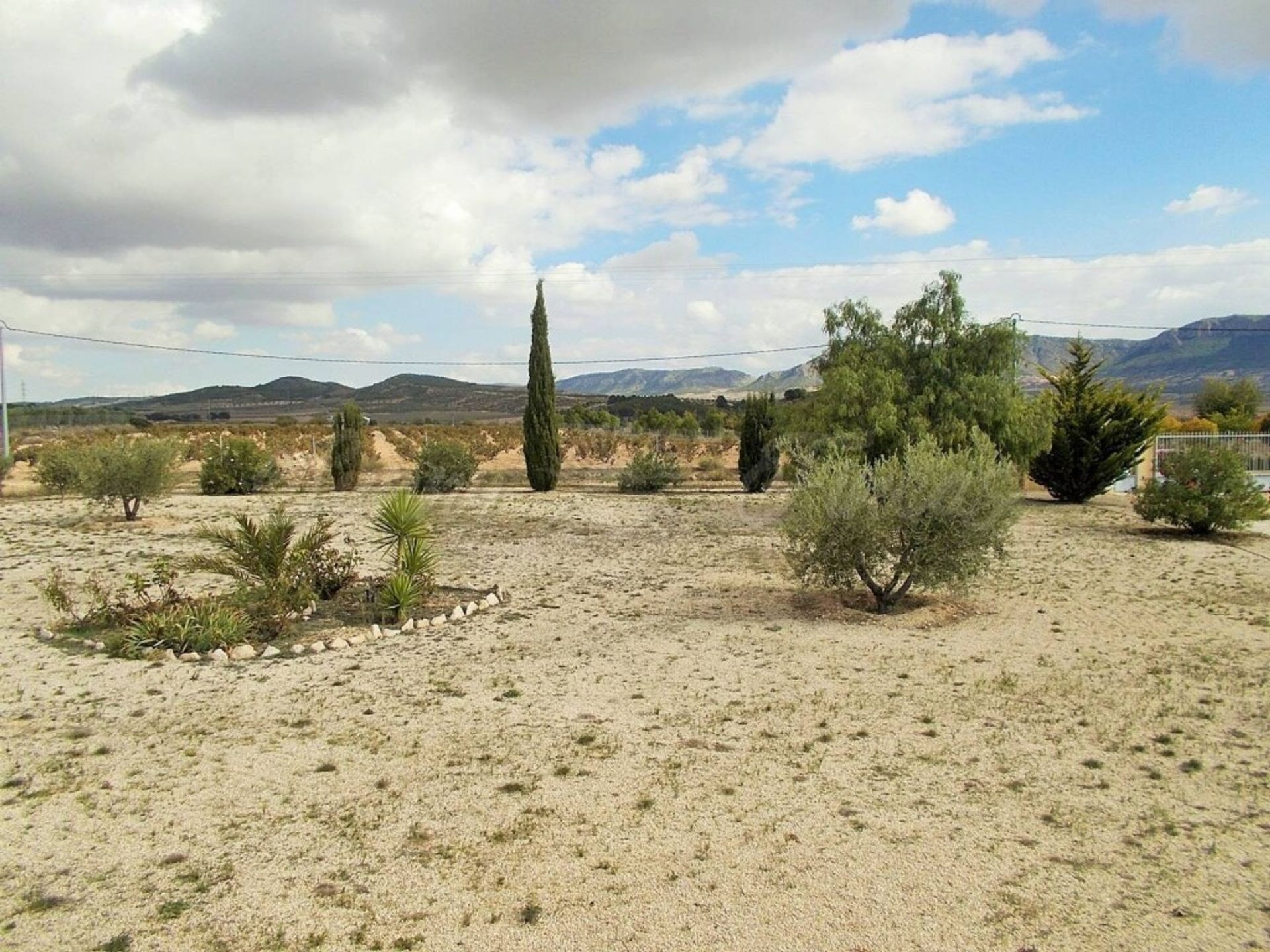 casa en Jumilla, Región de Murcia 11516893