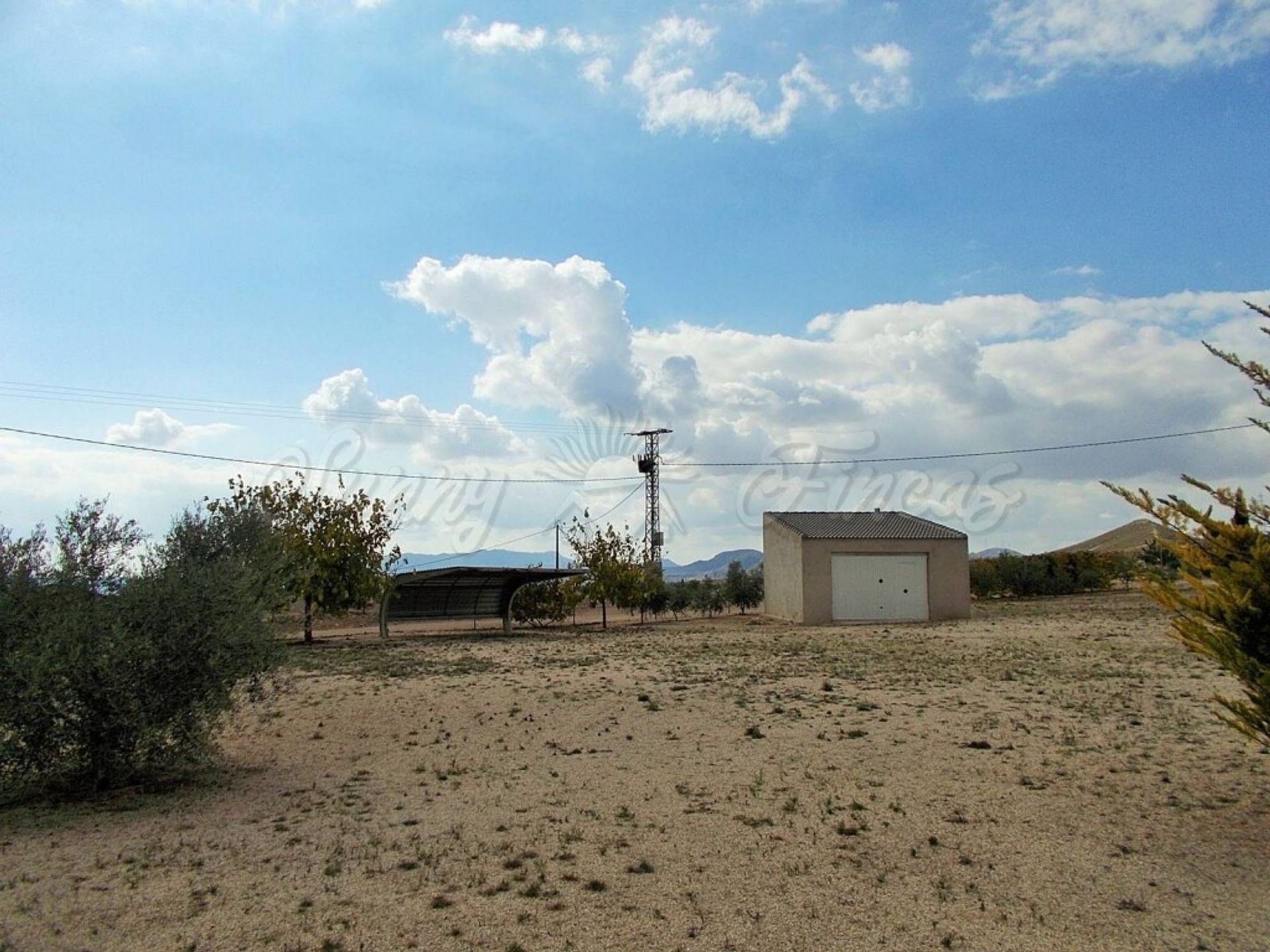 casa en Jumilla, Región de Murcia 11516893