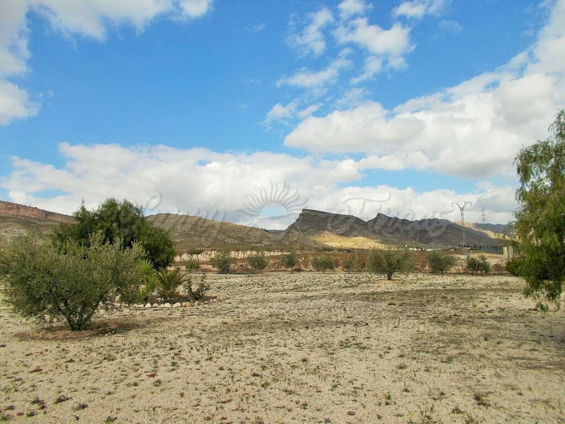 casa en Jumilla, Región de Murcia 11516893