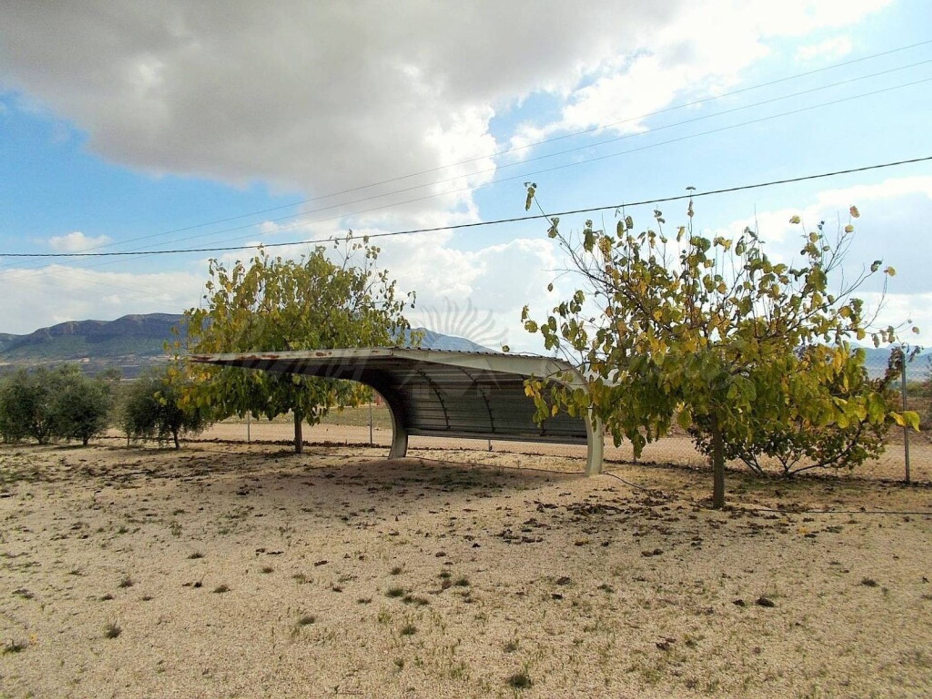 casa en Jumilla, Región de Murcia 11516893