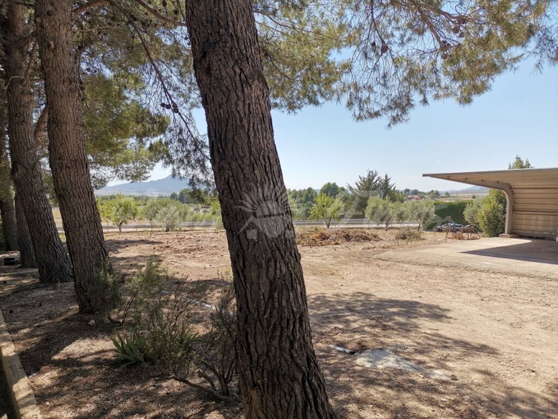 loger dans Yecla, Región de Murcia 11516895