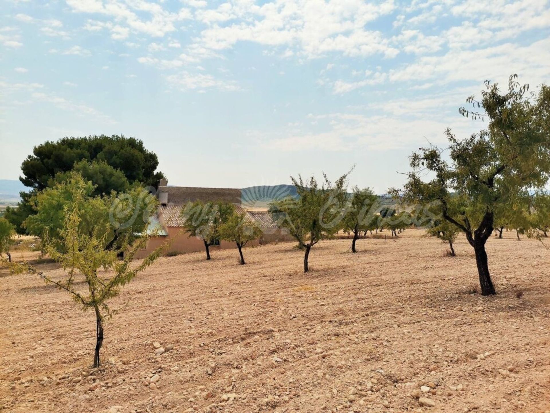 Hus i Yecla, Región de Murcia 11516896