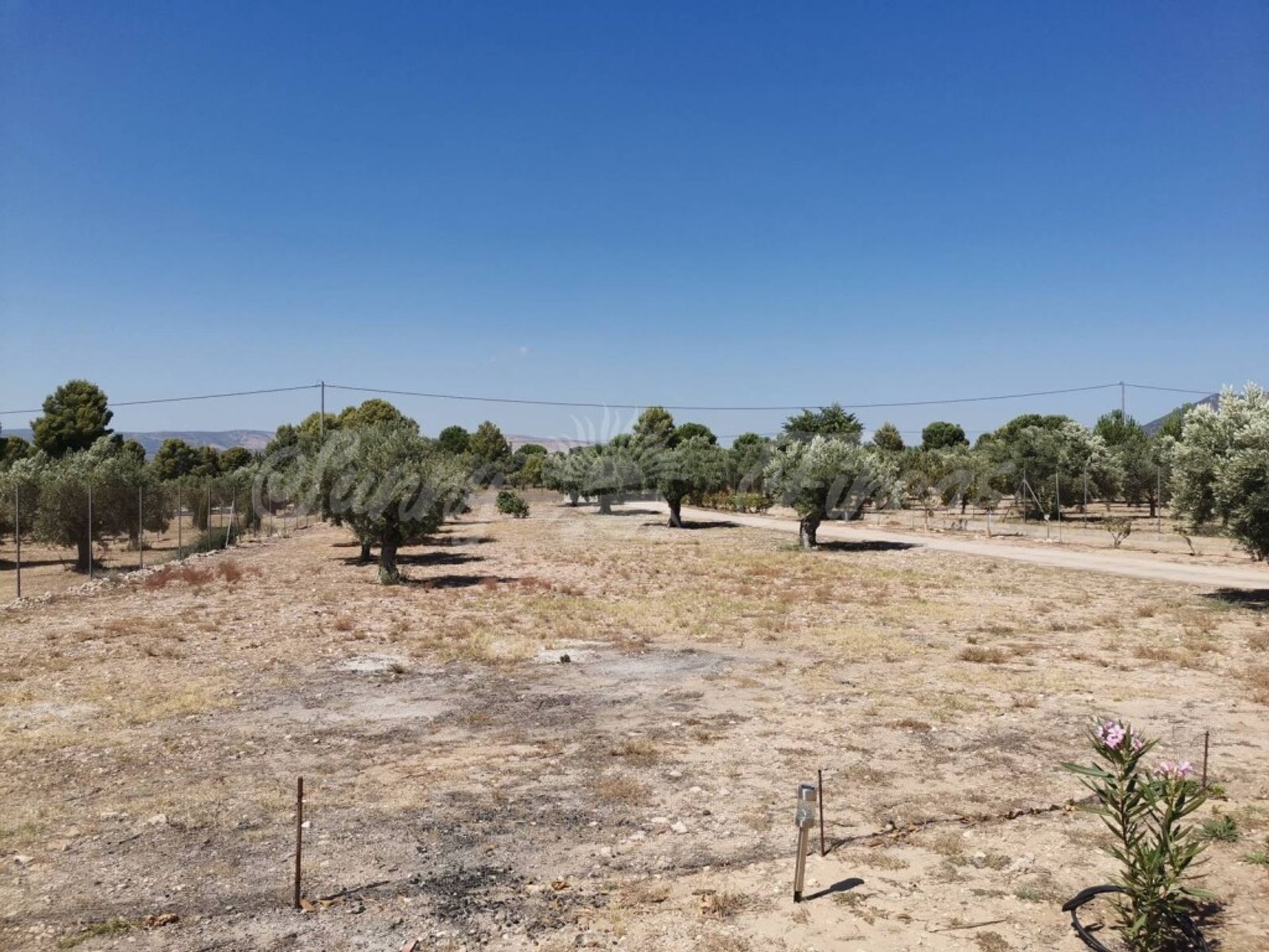 Casa nel Biar, Comunidad Valenciana 11516897