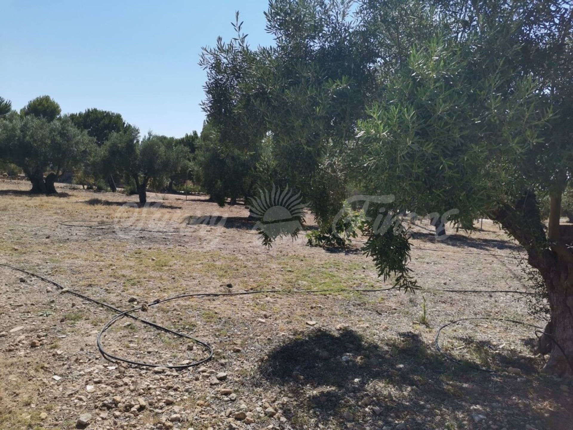 Casa nel Biar, Comunidad Valenciana 11516897