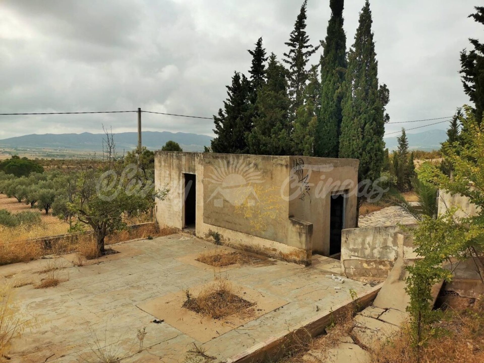 rumah dalam Salinas, Comunidad Valenciana 11516898