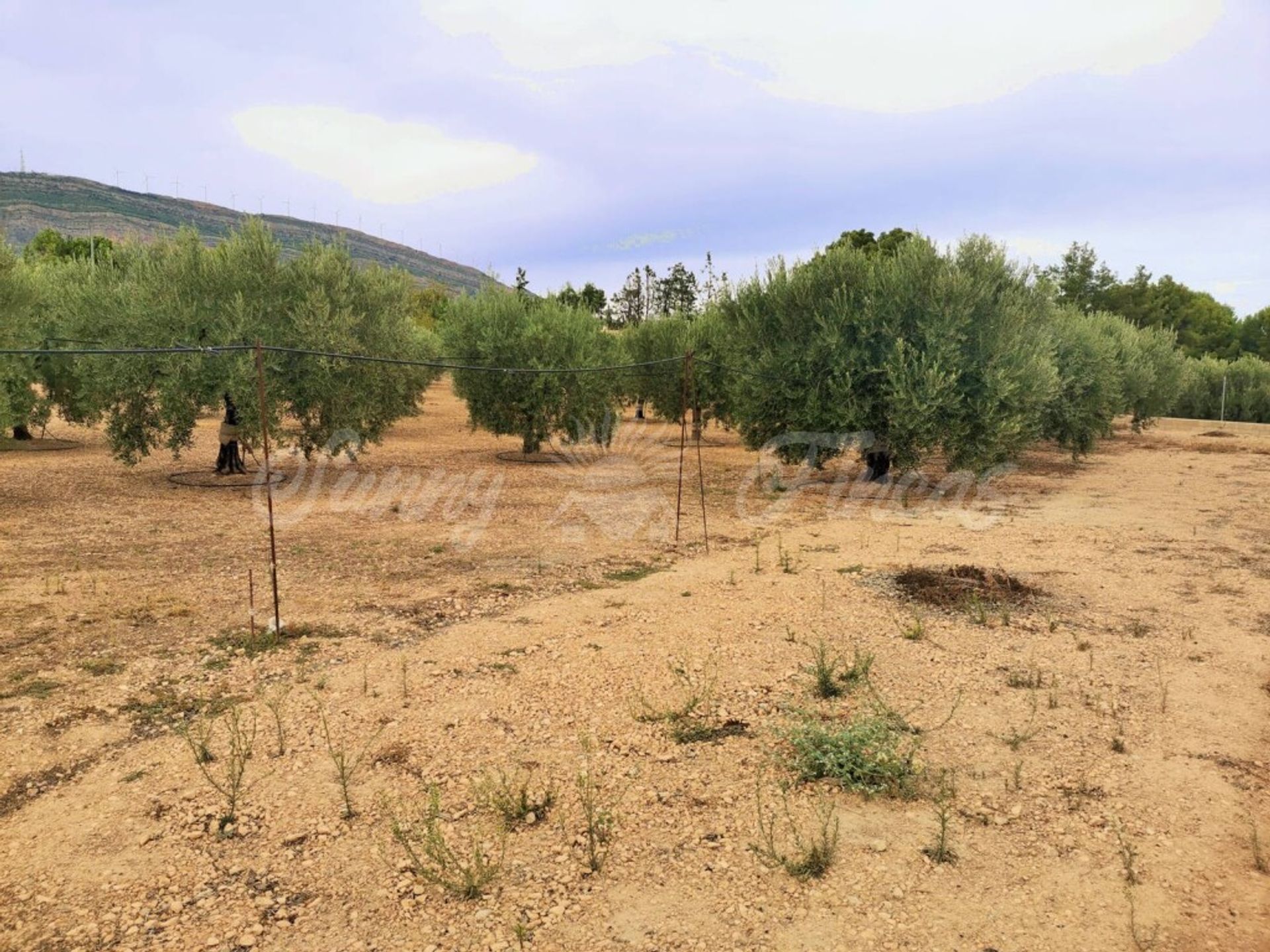 Casa nel Caudete, Castilla-La Mancha 11516903