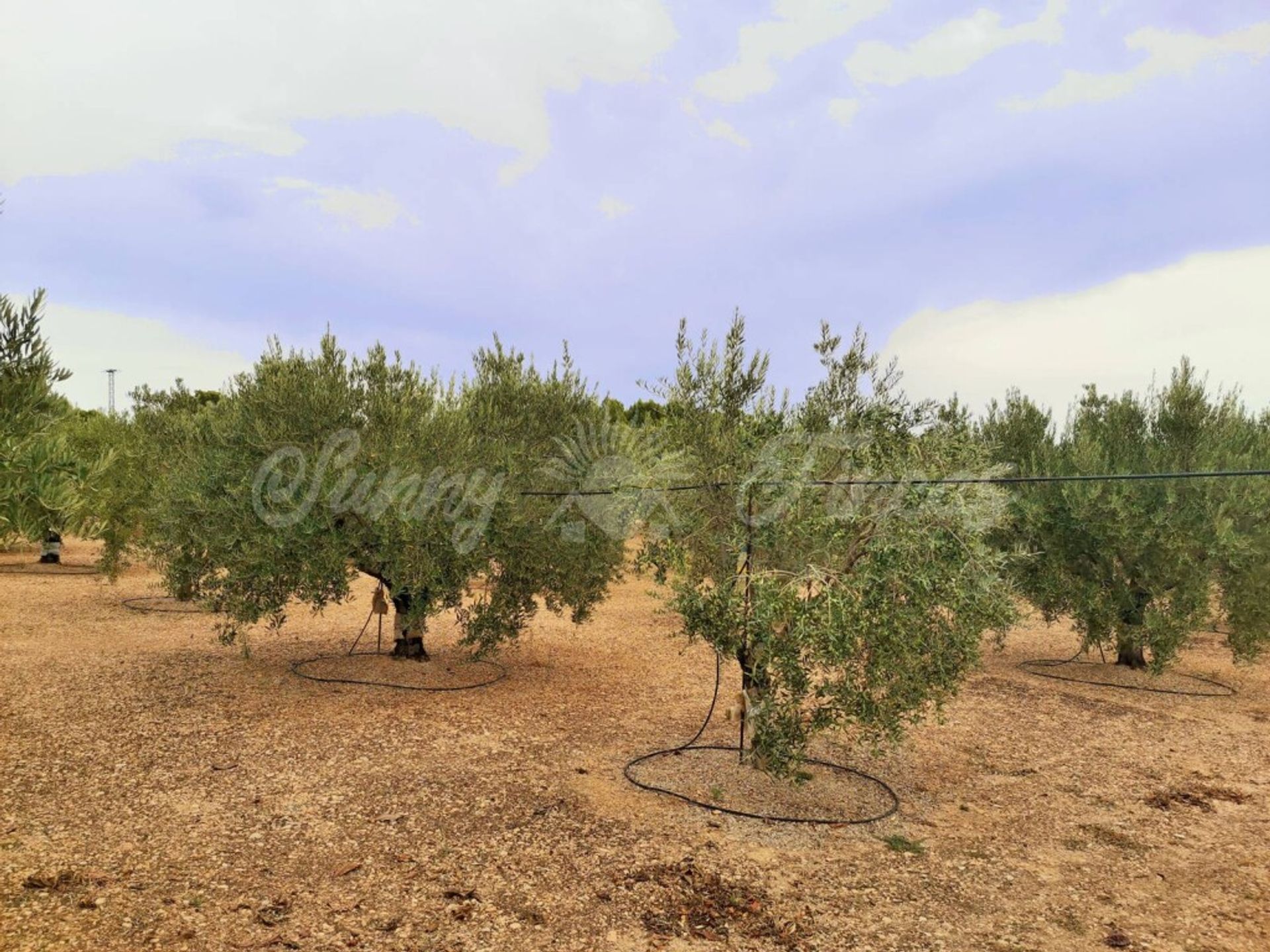 Casa nel Caudete, Castilla-La Mancha 11516903