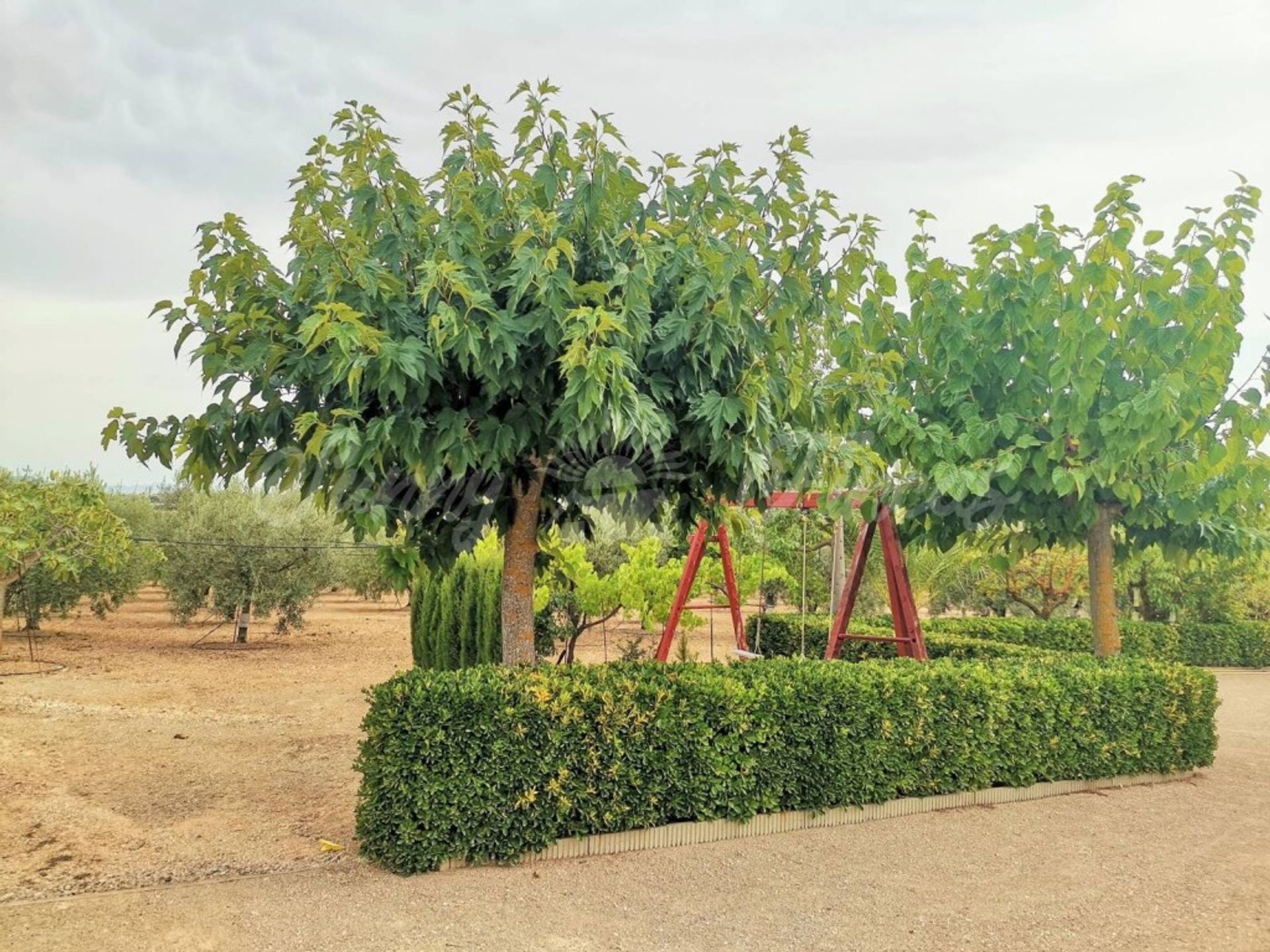 Casa nel Caudete, Castilla-La Mancha 11516903