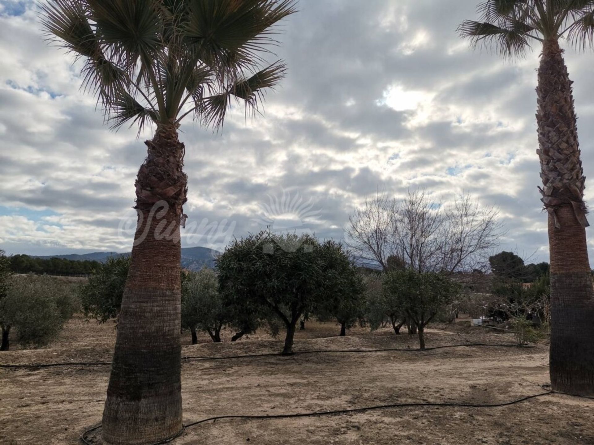 casa no Saix, Comunidad Valenciana 11516913