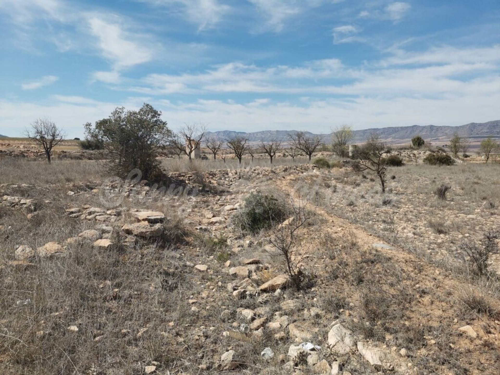 بيت في Yecla, Región de Murcia 11516917