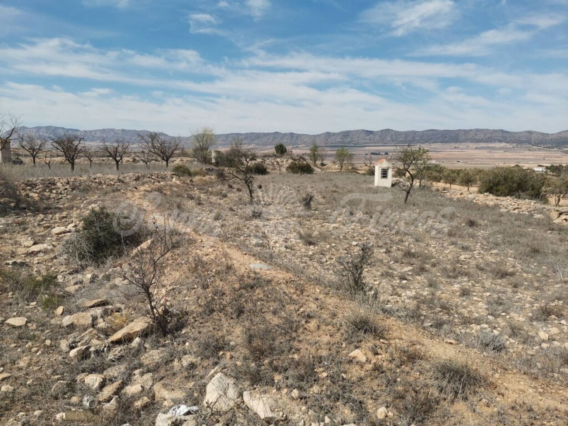 بيت في Yecla, Región de Murcia 11516917