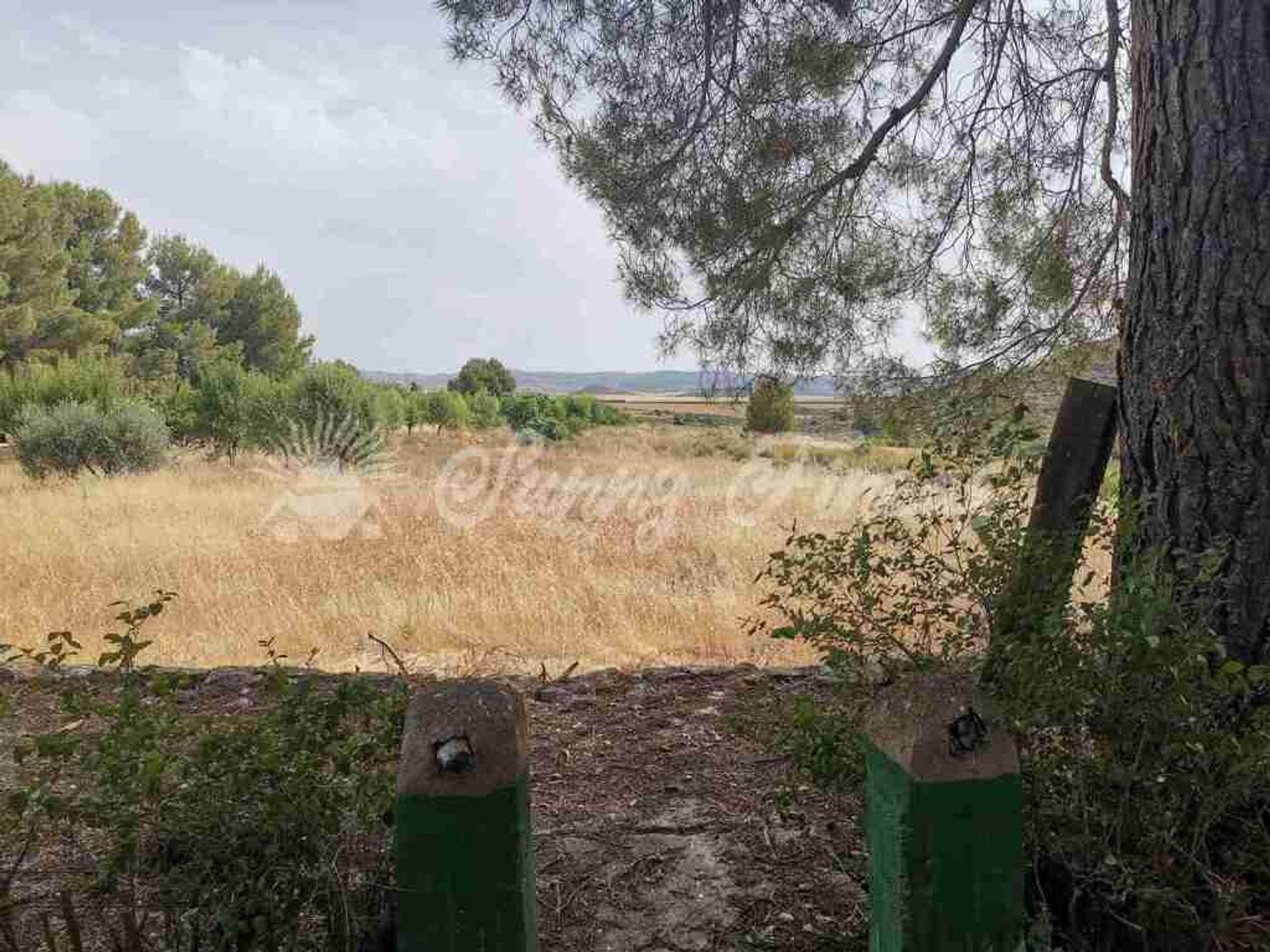 Dom w Almansa, Castilla-La Mancha 11516932