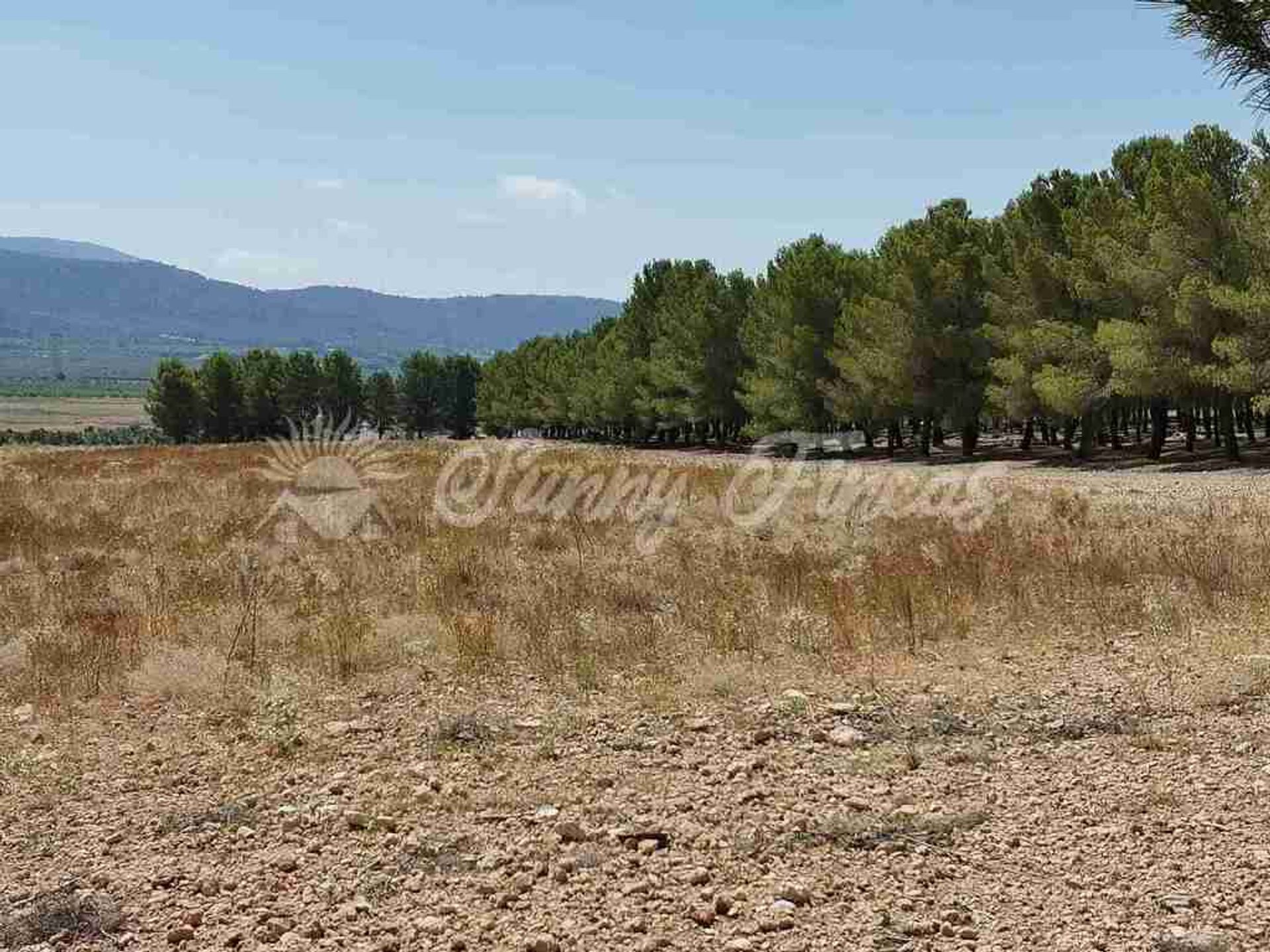 loger dans El Camp de Mirra, Comunidad Valenciana 11516935