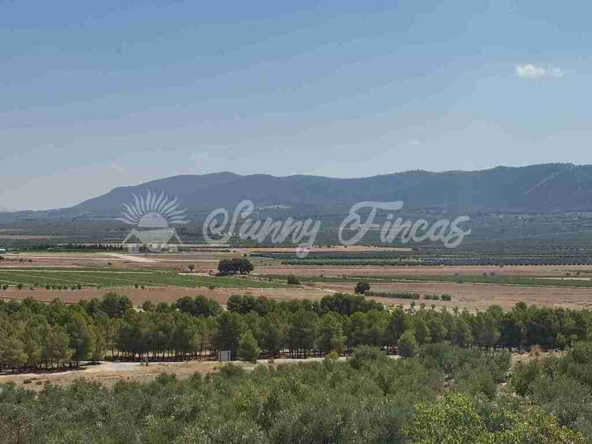 loger dans El Camp de Mirra, Comunidad Valenciana 11516935