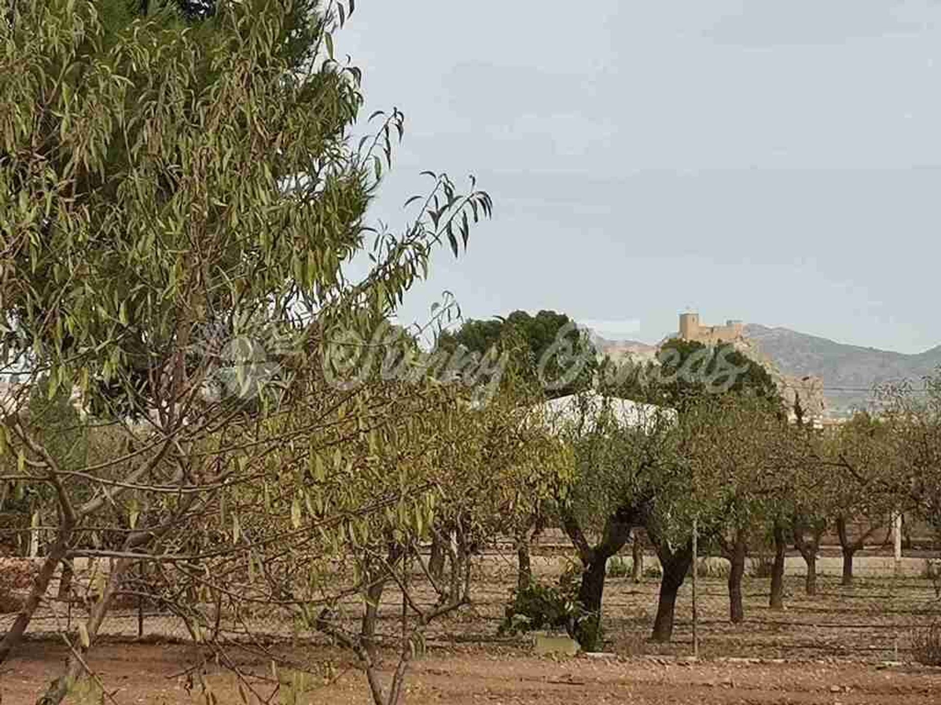 casa no Saix, Comunidad Valenciana 11516945