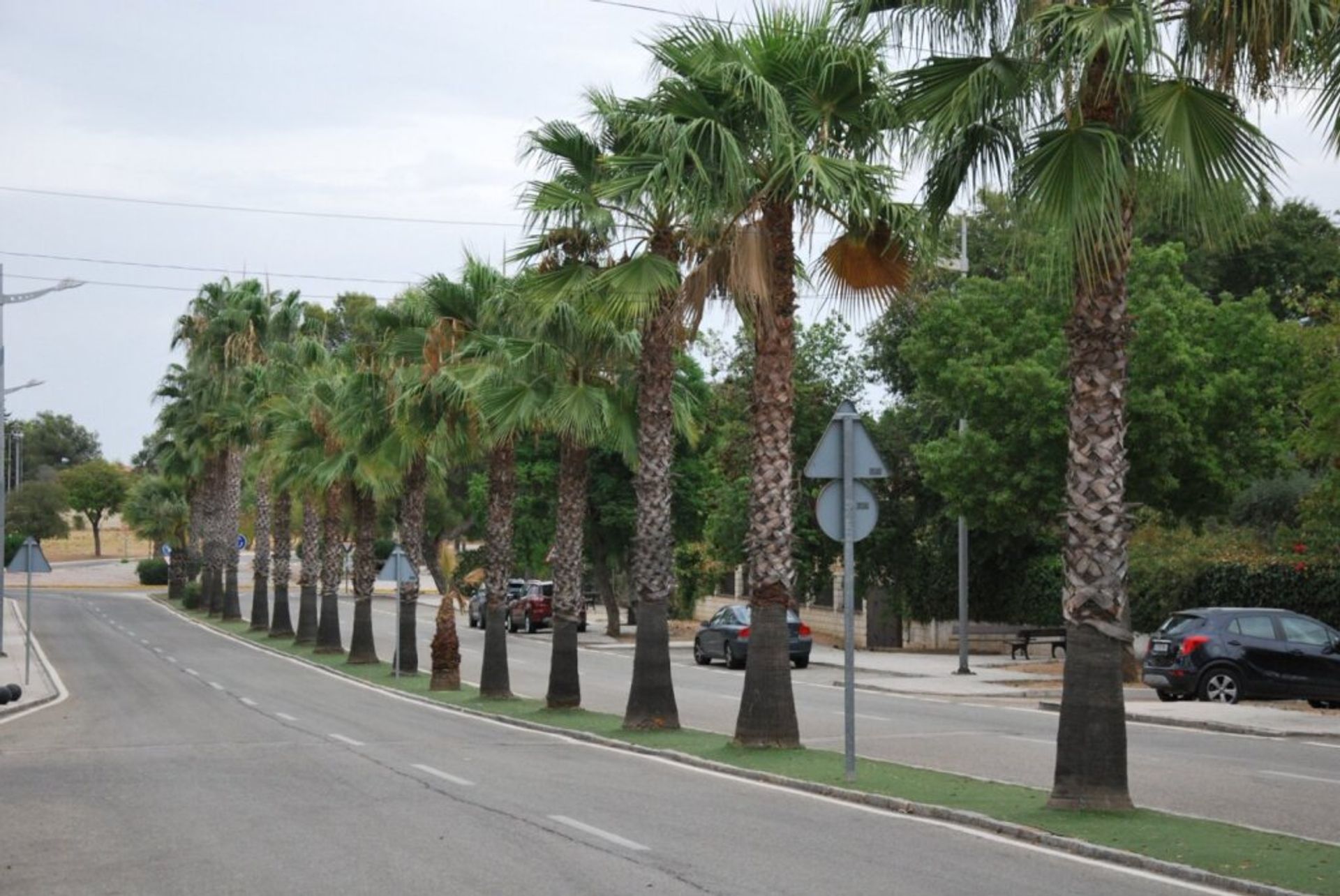 Tanah dalam Las Pajanosas, Andalucía 11516984