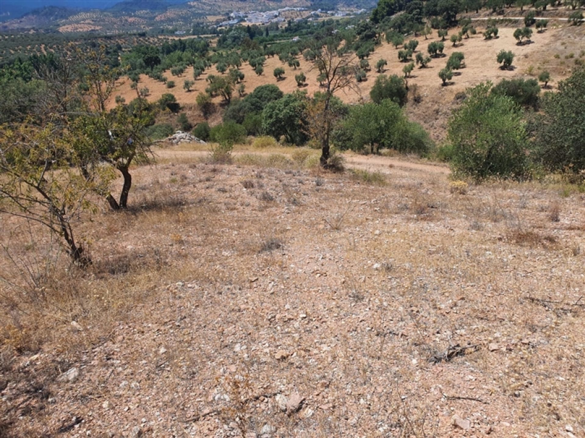 Land i Yunquera, Andalusia 11517055