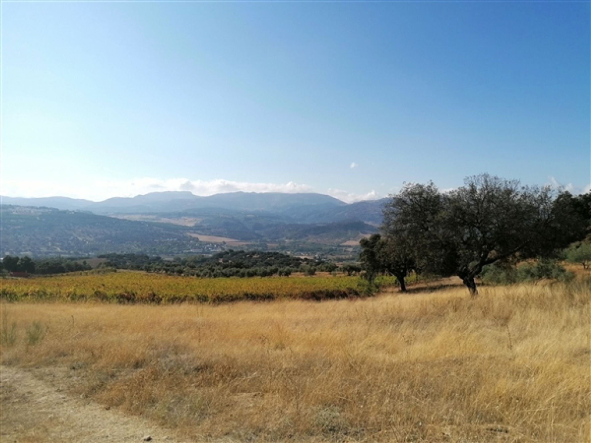 Земельные участки в Ronda, Andalucía 11517057